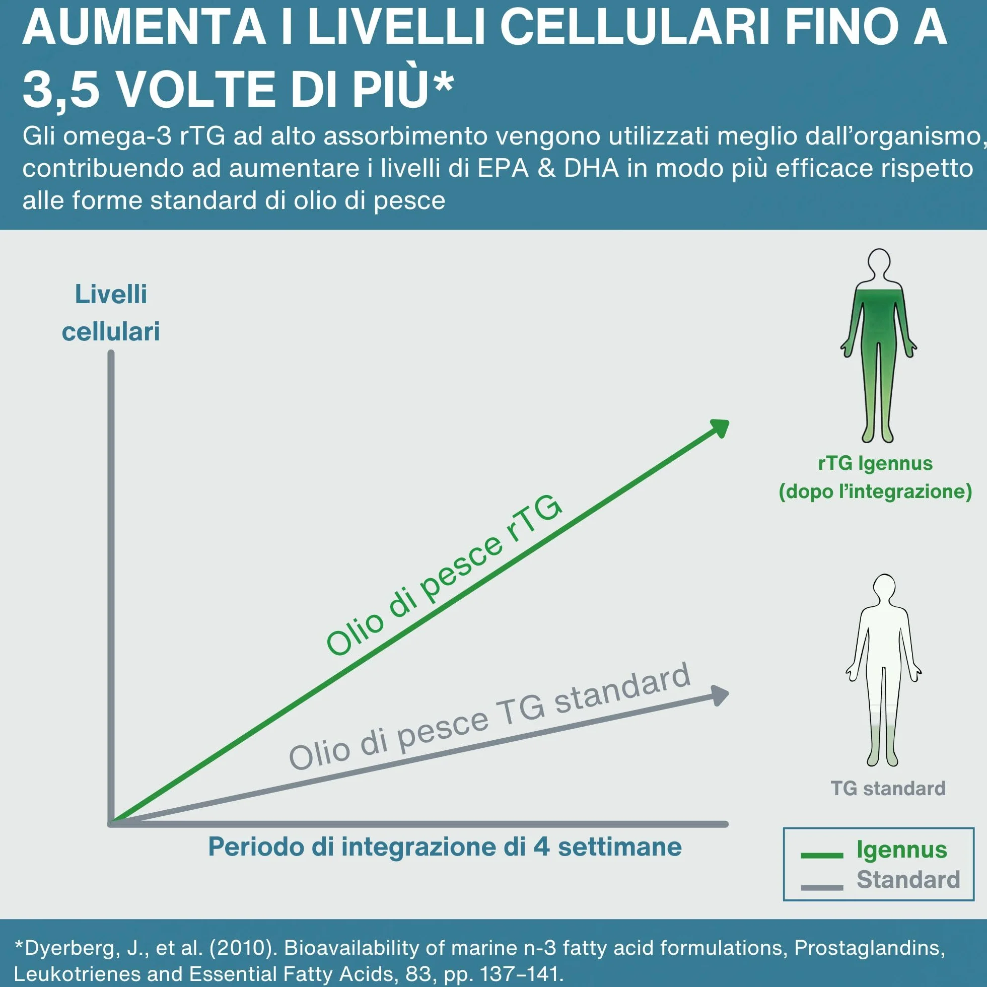 Igennus Omega 3 IFOS 5 Stelle 1000mg Olio di Pesce Ultra Puro Trigliceridi rTG EPA 670mg DHA 330mg 180 Softgel
