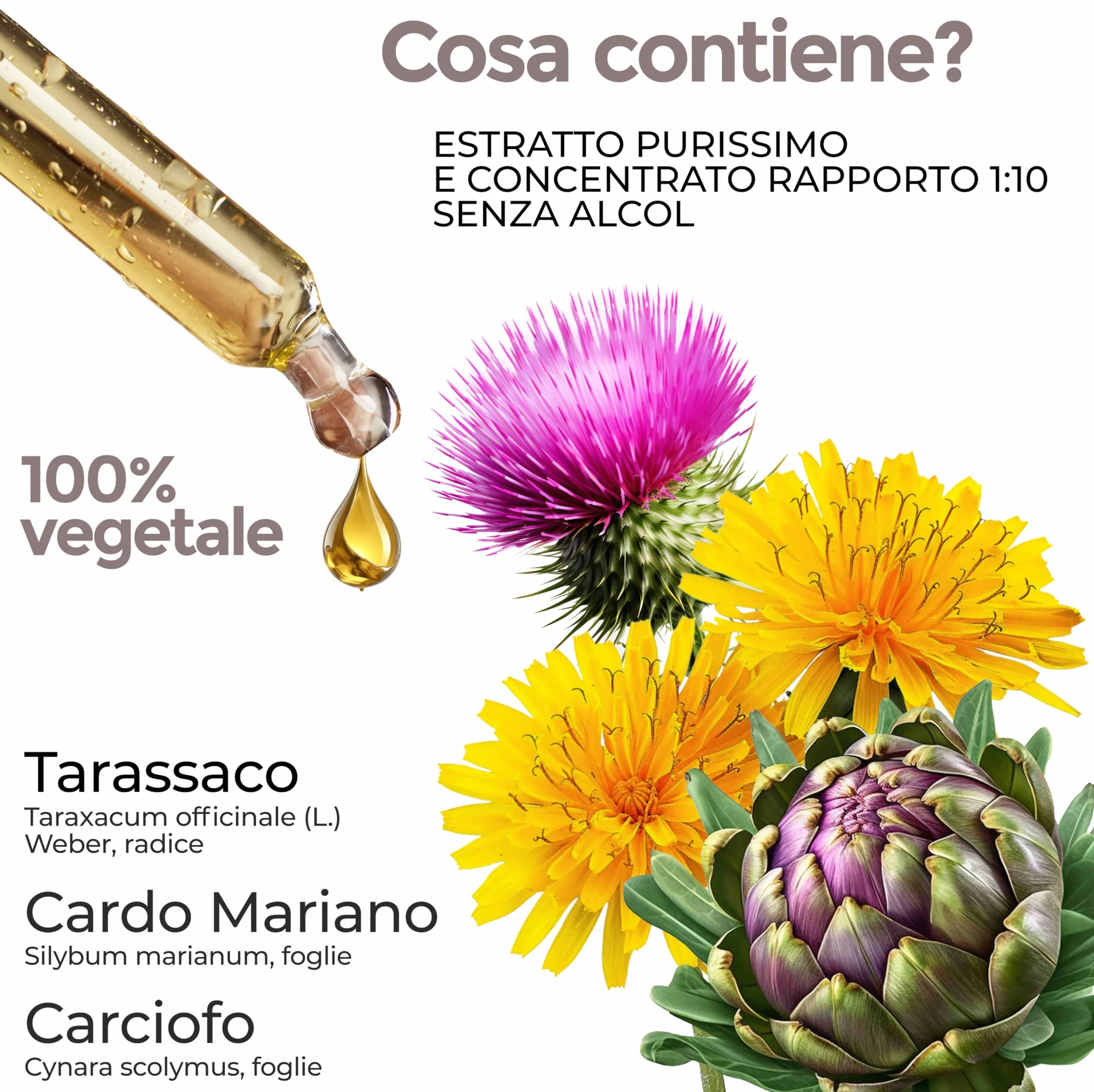 Cardo Mariano Tarassaco e Carciofo Gocce 100 ml Integratore Detox Fegato e Intestino Silimarina Extra Forte