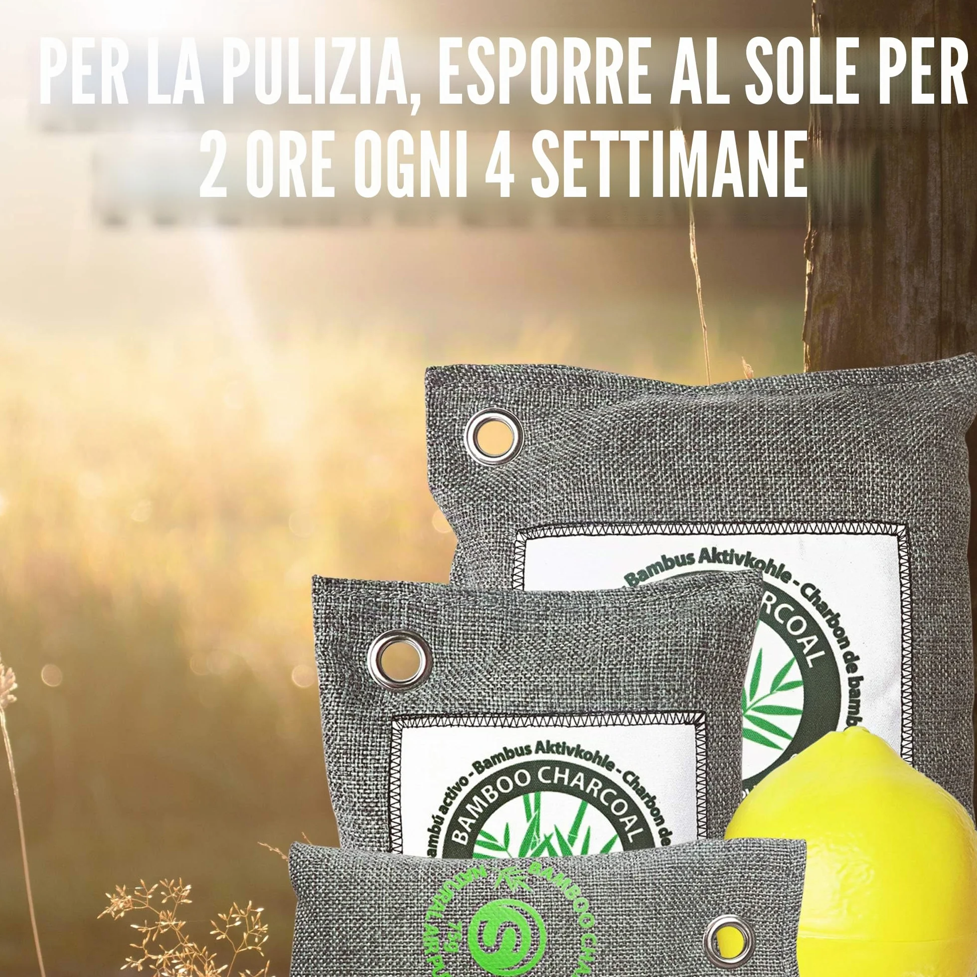 Sacchetti Antiodore Scarpe Carbone Attivo Naturale Riutilizzabile 2 Pezzi