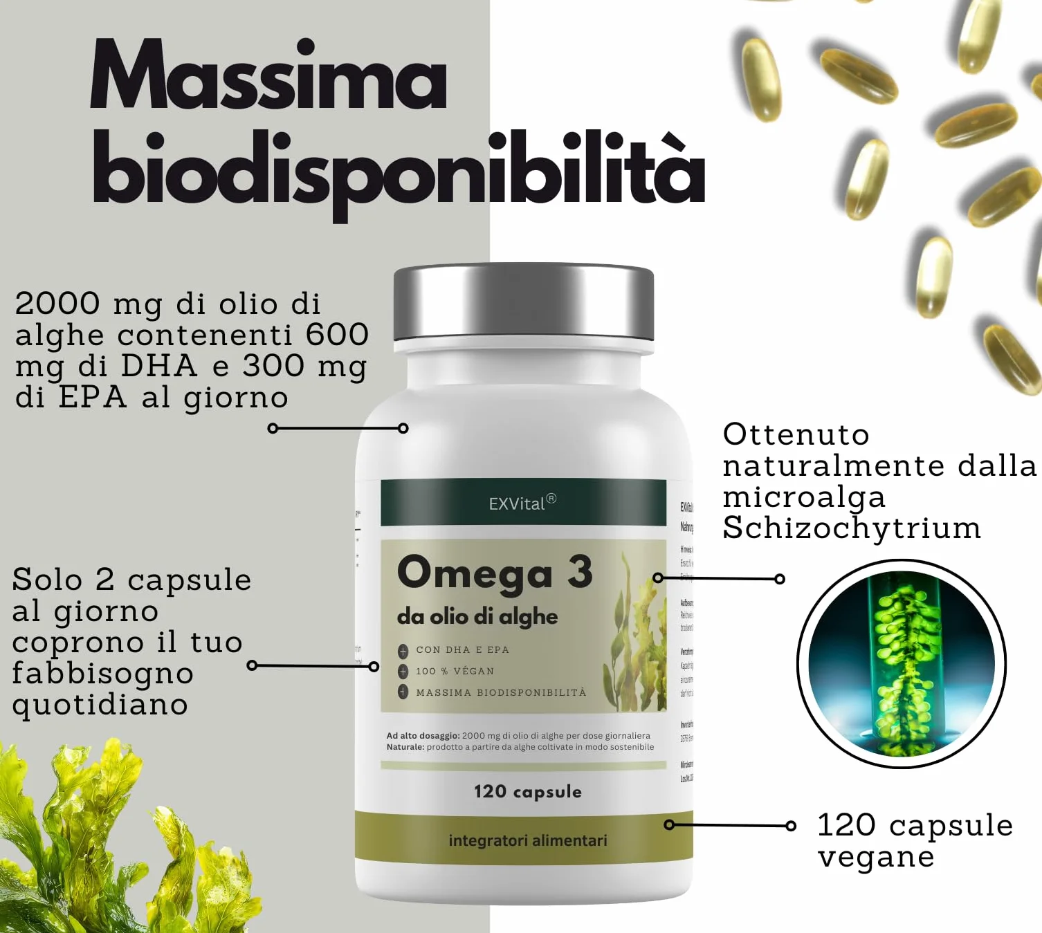 EXVital Omega 3 da olio di alghe vegano 120 capsule softgel 2000 mg 600 mg DHA 300 mg EPA