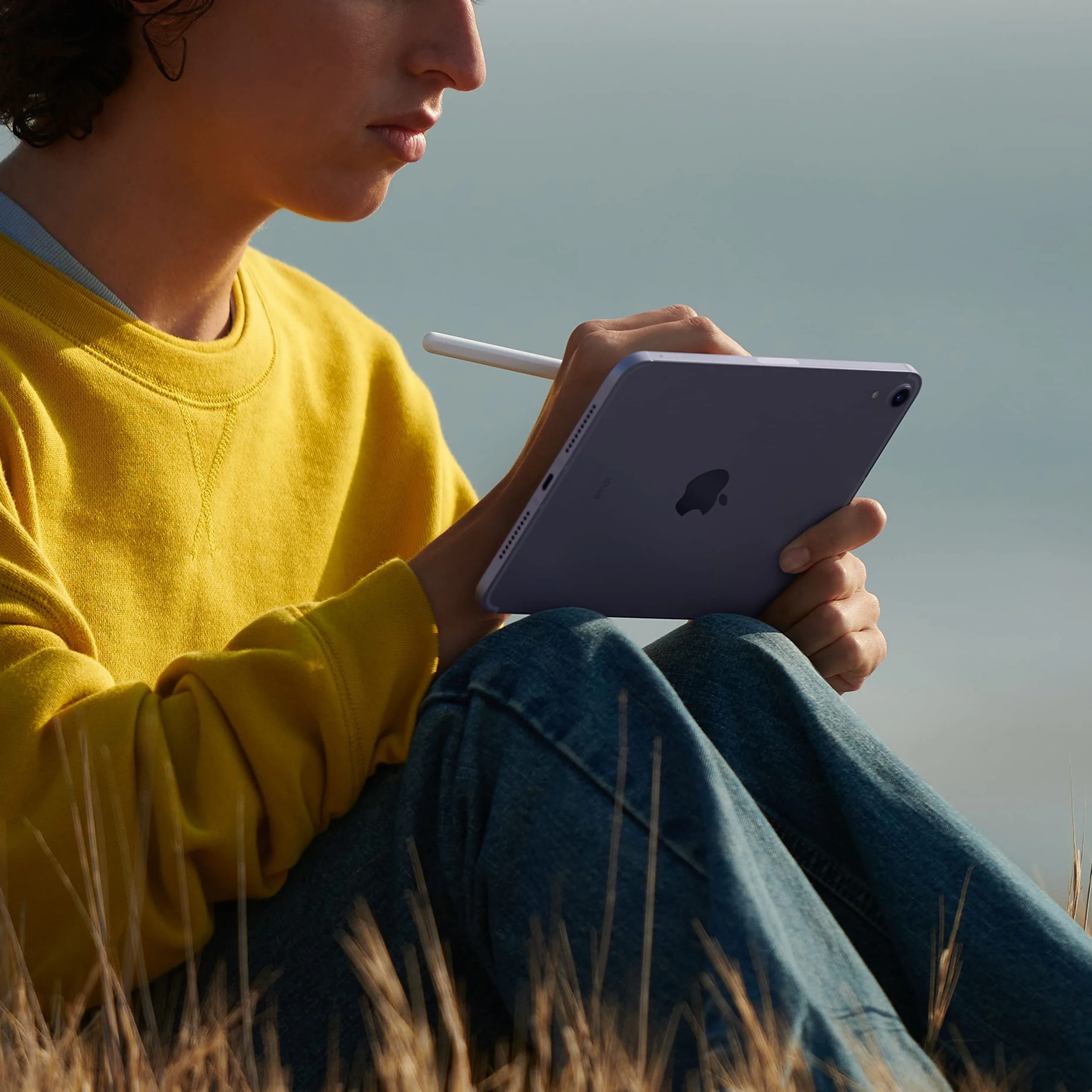 Apple iPad mini 8,3-pollici Wi-Fi + Cellulare 64GB Grigio Siderale Ricondizionato