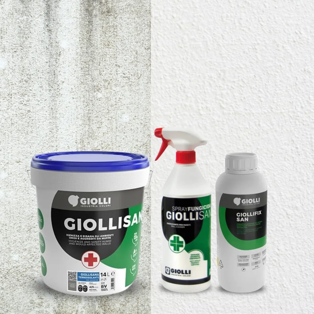 GIOLLI INDUSTRIA COLORI Giollisana Spray Antimuffa 750 ml - Rimuovi Muffa per Muri Interni ed Esterni
