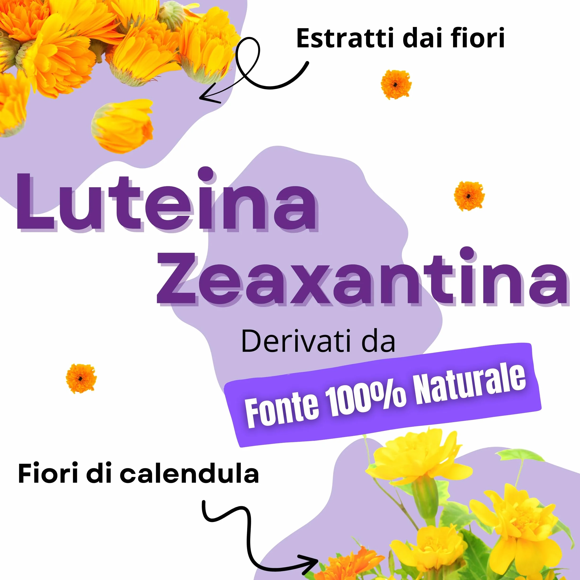 Integratore Occhi Vista Luteina Zeaxantina Alto Dosaggio 90 Capsule Zinco Licopene Mirtillo Nero Vite Rossa Antiossidante Vitamina A B12 Vegano