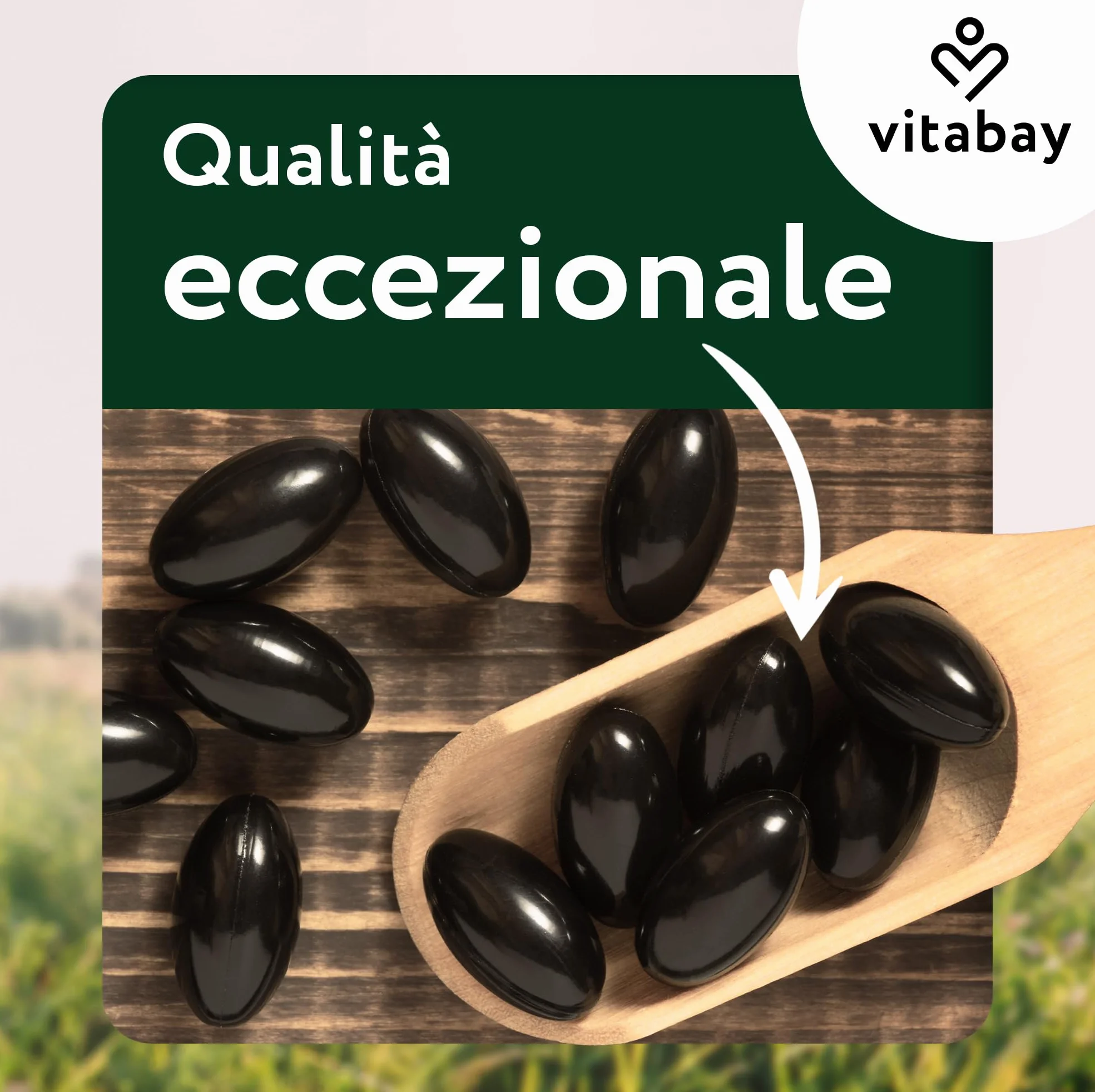 Vitabay Astaxantina 12 mg 90 capsule softgel vegane estratto di alga Haematococcus pluvialis