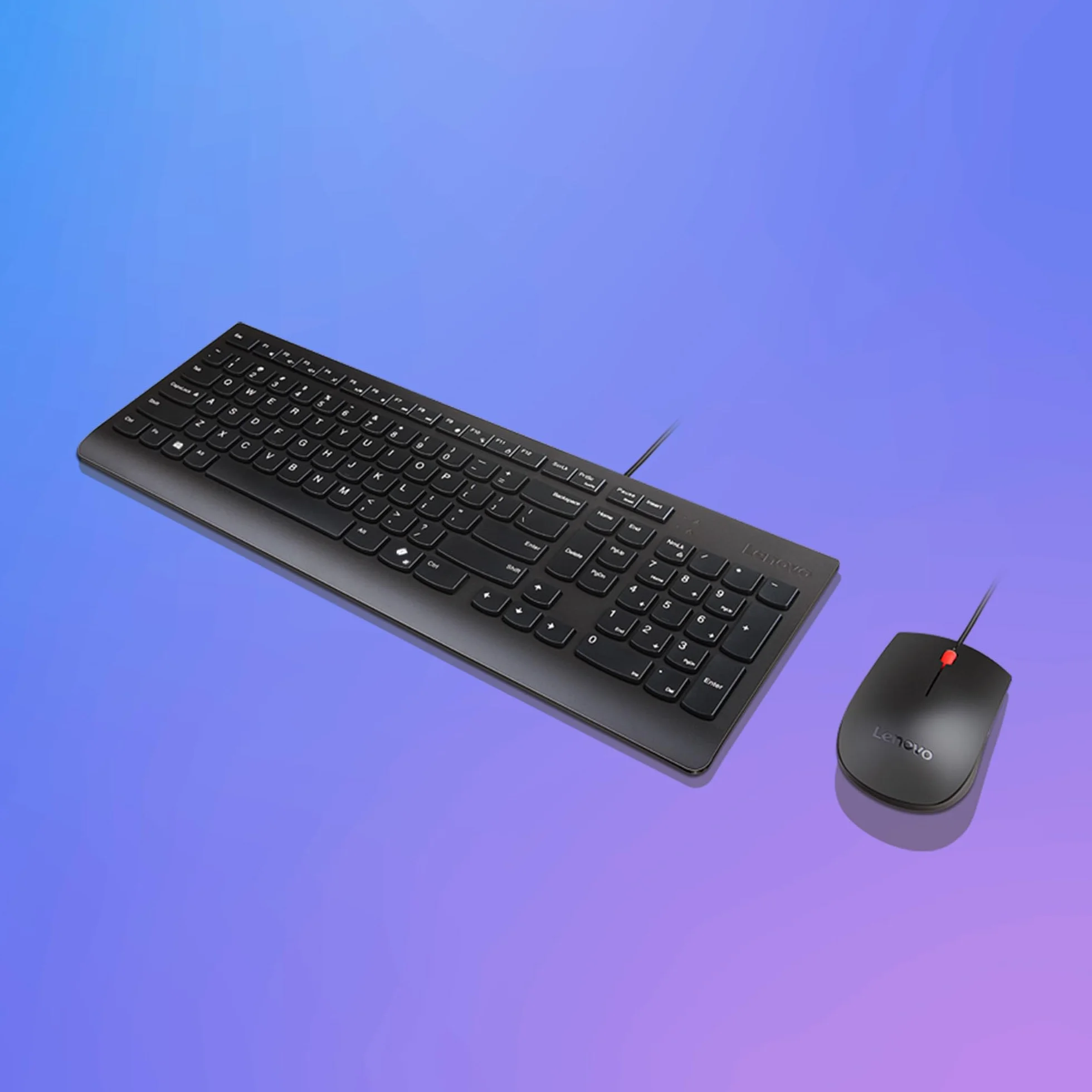 Lenovo Combo Tastiera + Mouse Cablato Essential – USB, Layout Compatto con Tastierino, Mouse Ergonomico 1600 DPI, Design Anti-Schizzi, Tasto Copilot – Nero