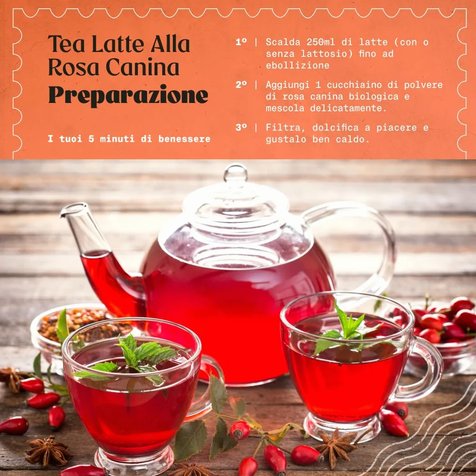 Rosa Canina Cruda Biologica in Polvere 200g Naturale Pura Bacche Bio Cinorrodo Macinato Intero Ricca Vitamina C Infusi Tisane Frullati