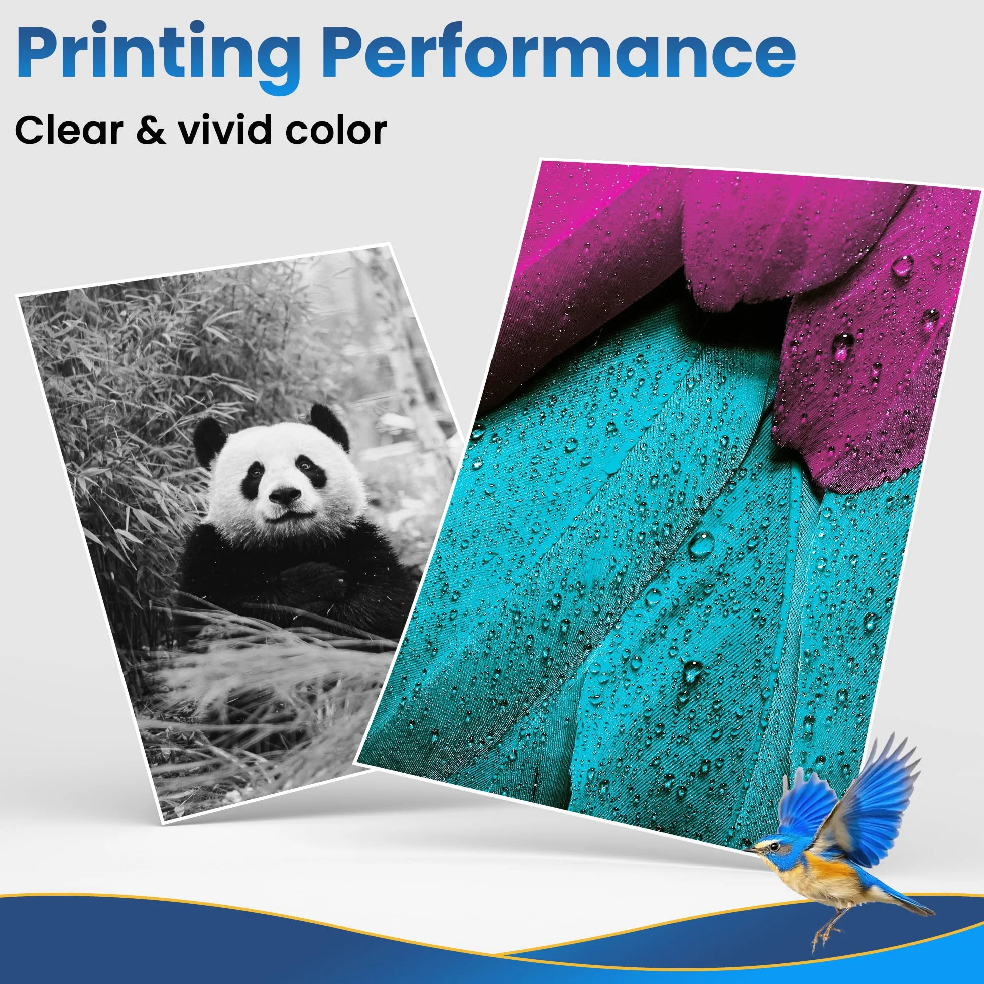 Cartucce d'inchiostro Compatibili per Epson XP 2200 WF 2930 Cartucce per Expression Home XP-4200 XP-4205 XP-2205 XP-3205 Workforce WF-2910 WF-2930 WF-2950 (6 Nero, 3 Ciano, 3 Magenta, 3 Giallo)