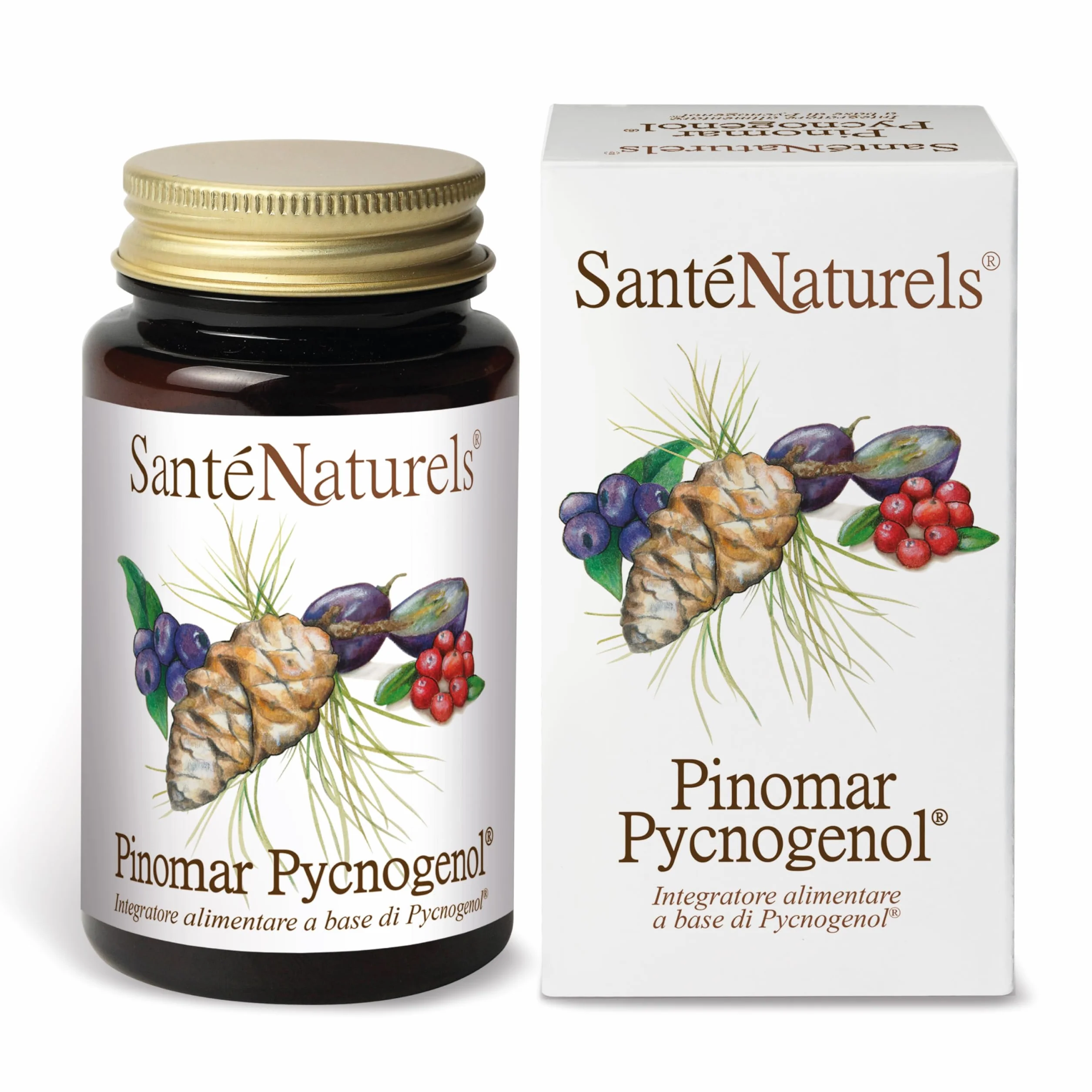 Pinomar Pycnogenol 60 Capsule Vegetali Estratto Secco di Pino Marittimo Francese con Mirtillo Nero, Mirtillo Rosso e Acini d'Uva