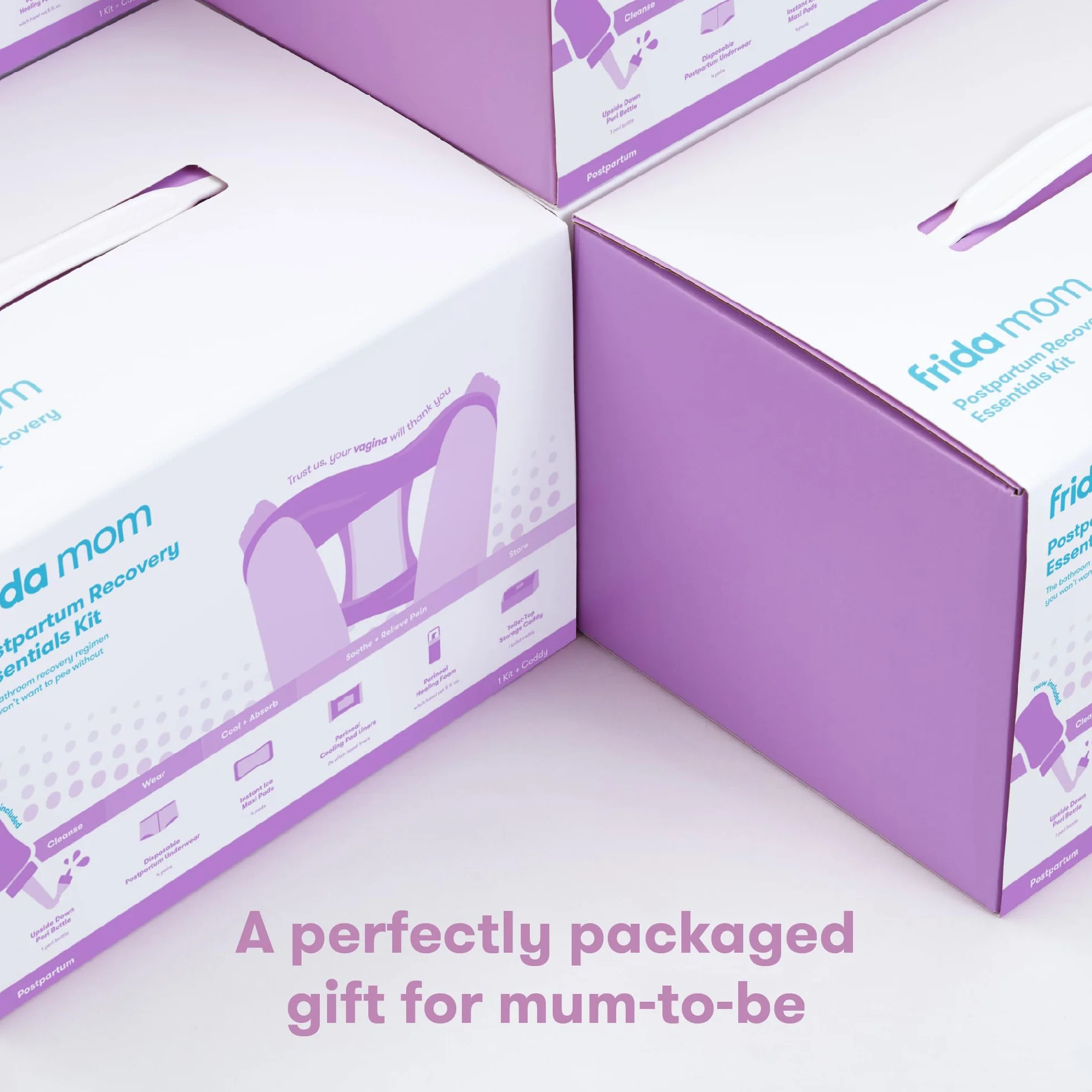 Frida Mom Kit essenziale per il recupero post parto con intimo usa e getta, maxi assorbenti, salviette refrigeranti e schiuma all'amamelide