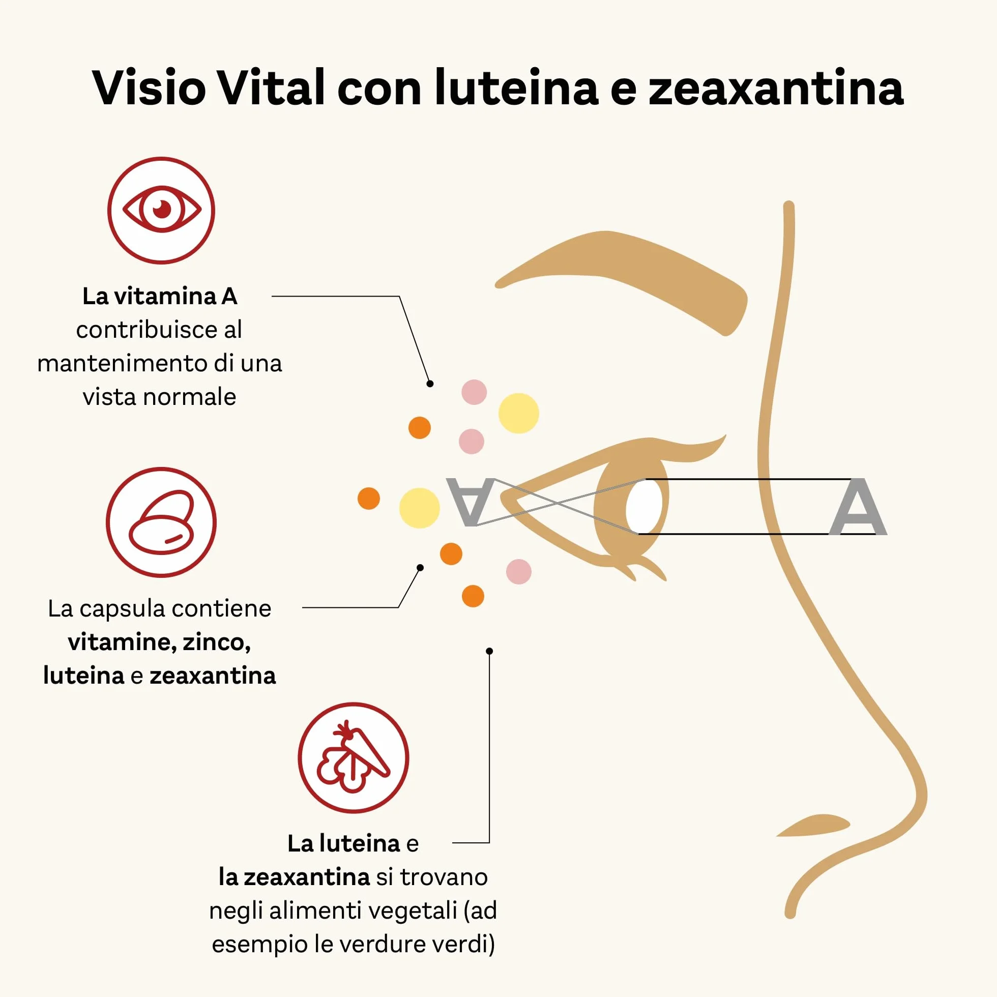 Doppelherz aktiv Visio Vital Integratore Alimentare per la Vista con Luteina, Zeaxantina, Vitamina A C E e Zinco 90 Capsule