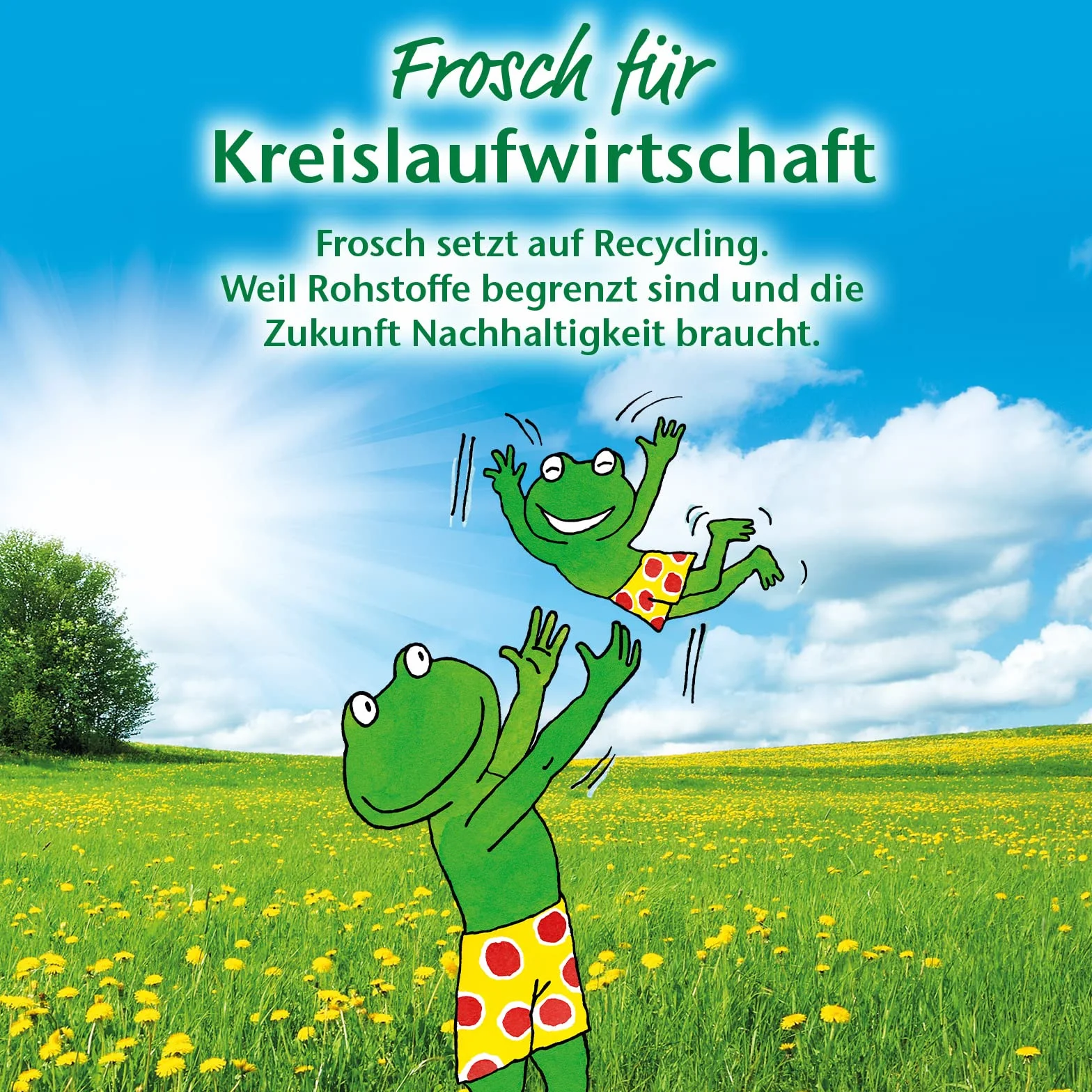 Frosch Lampone Detergente universale 750 ml