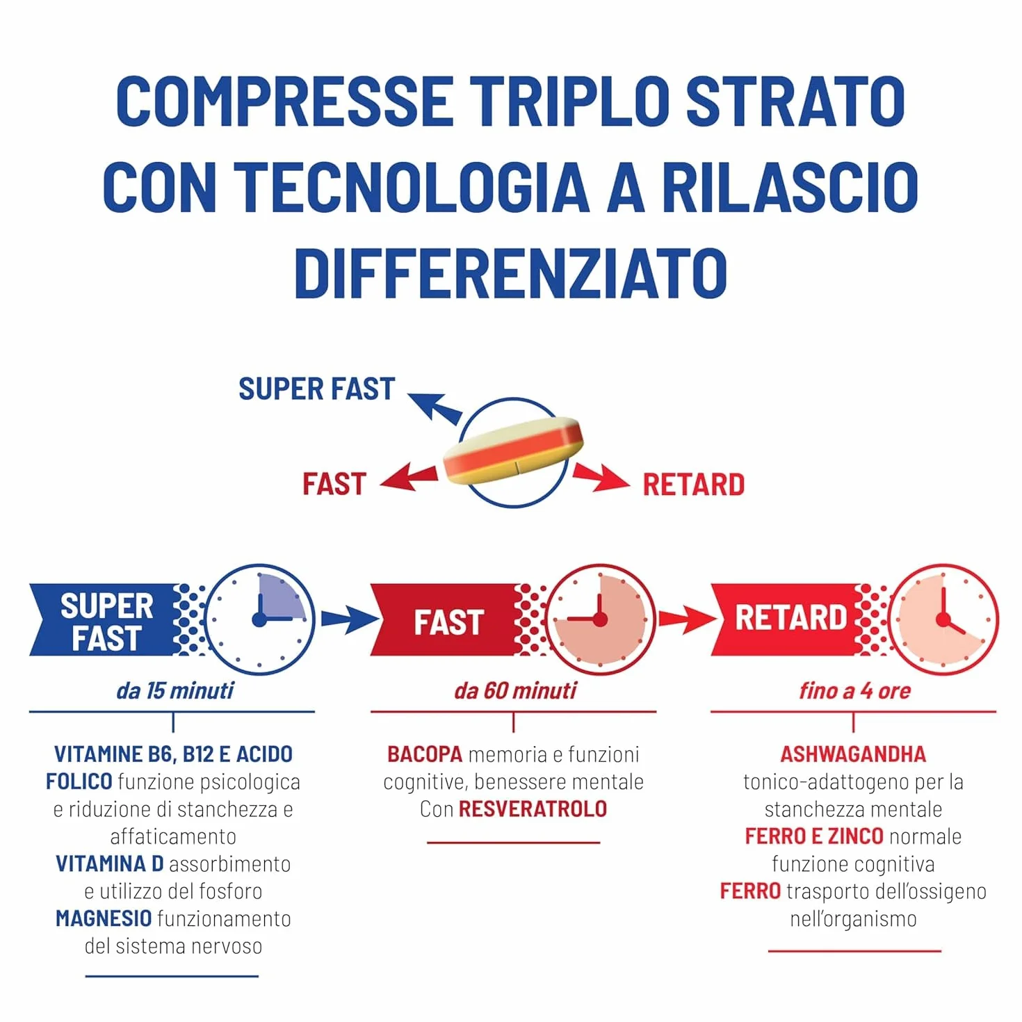 Equilibra Memoria e Concentrazione 30 Compresse Triplo-Strato Ferro Zinco Ashwagandha Bacopa Resveratrolo Integratore Multivitamine e Minerali Rilascio Graduale