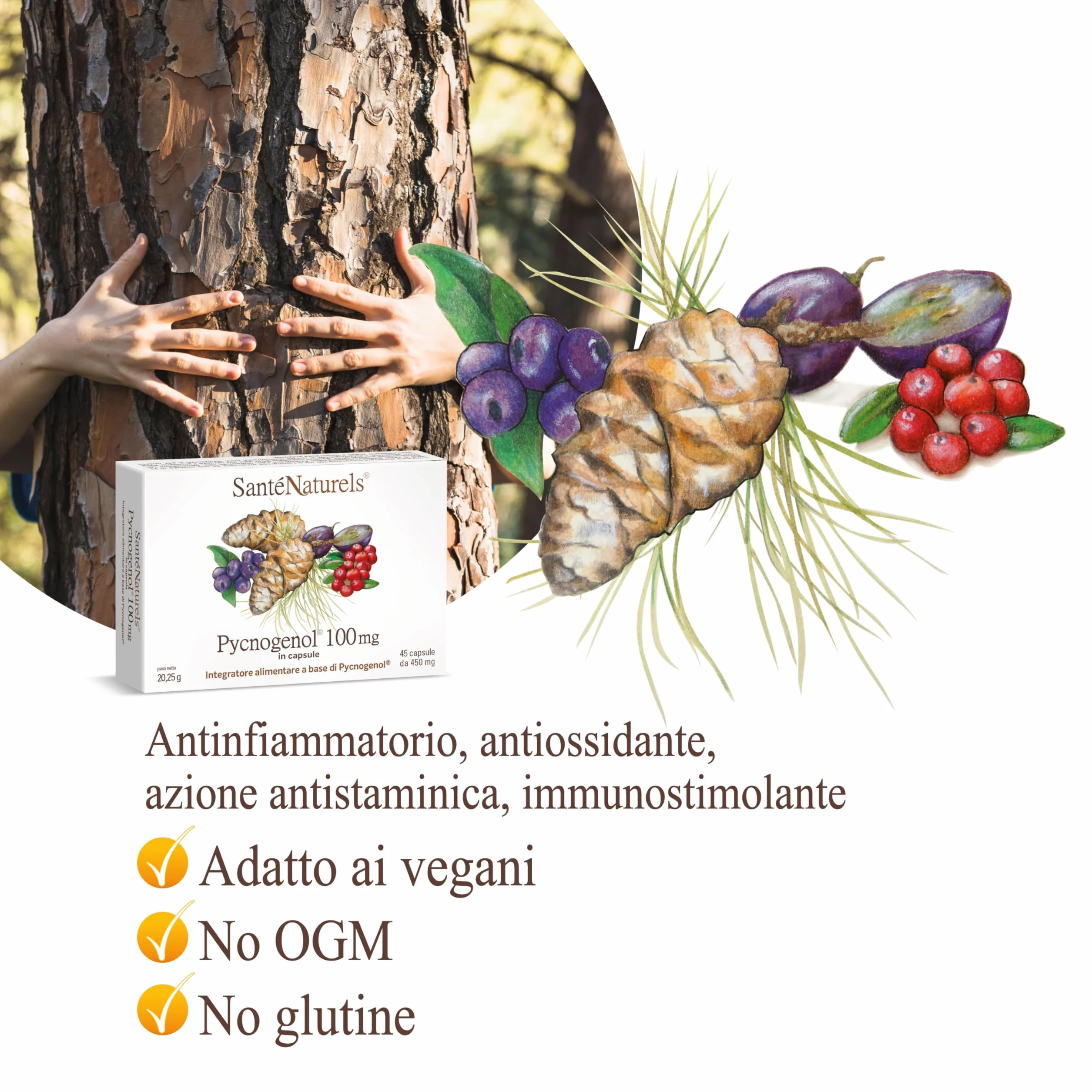 Pycnogenol 45 Capsule Vegetali Integratore con Zafferano, Mirtillo Rosso e Mirtillo Nero Brevettato Horphag