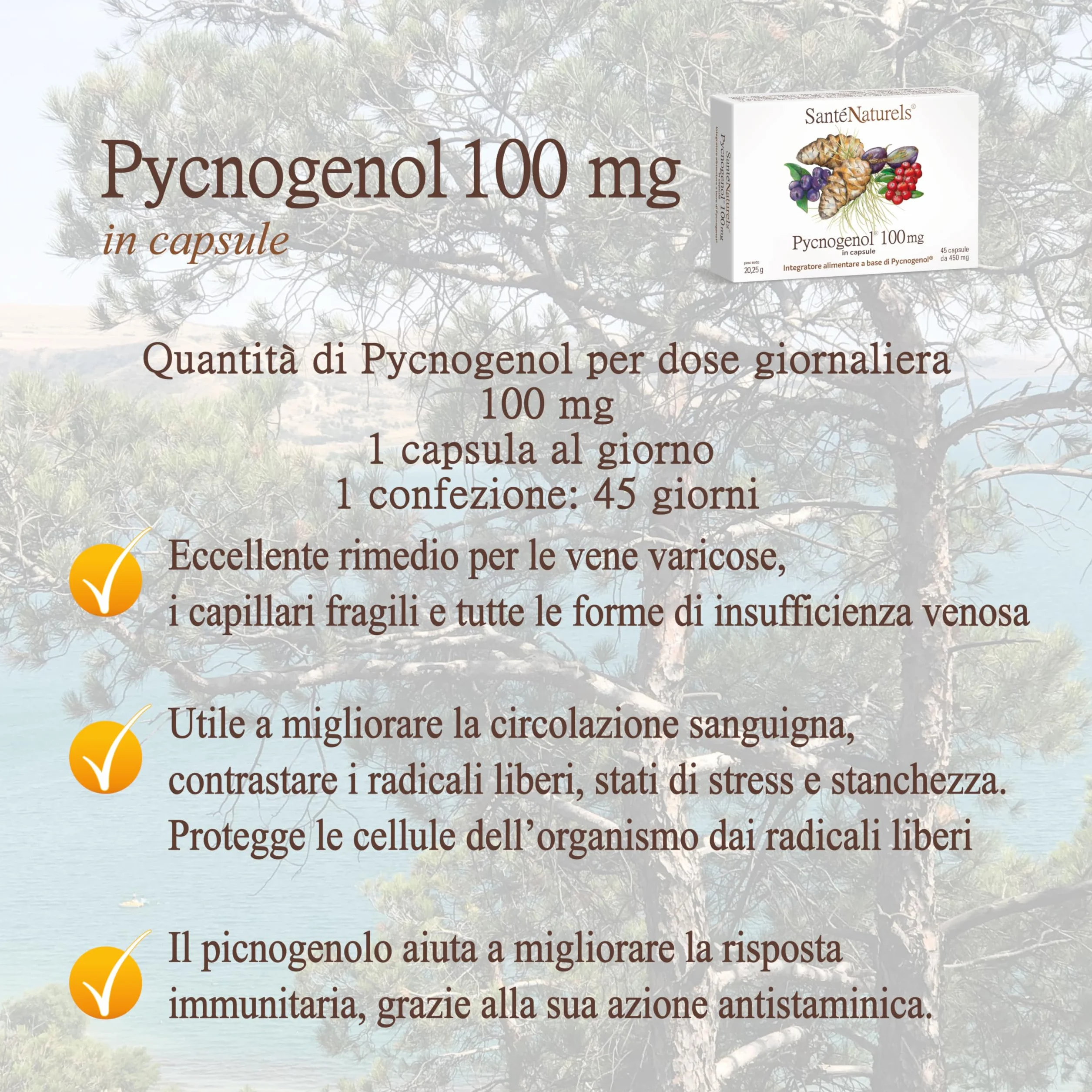 Pycnogenol 45 Capsule Vegetali Integratore con Zafferano, Mirtillo Rosso e Mirtillo Nero Brevettato Horphag