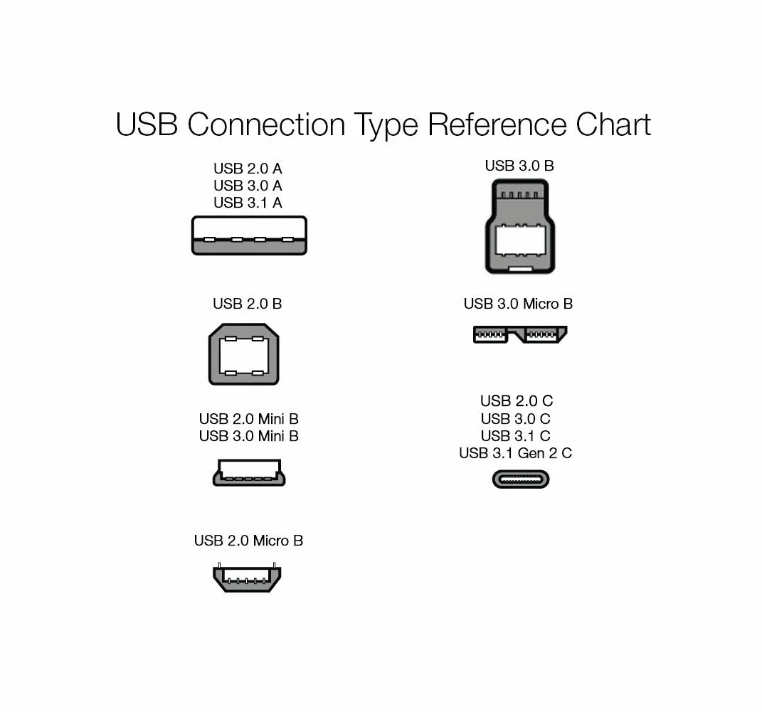Amazon Basics Cavo di ricarica rapida USB-C a USB-C 480 Mbps certificato USB-IF 1.8 m bianco