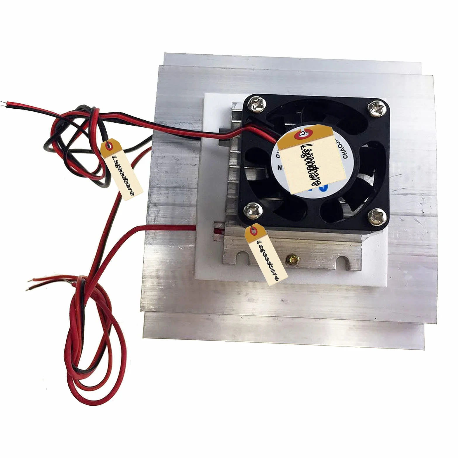 Lsgoodcare Kit di raffreddamento Peltier fai da te 12Volt Semiconduttore Termoelettrico Cooler Sistema di Raffreddamento Peltier TEC1-12706 Kit modulo dissipatore Peltier