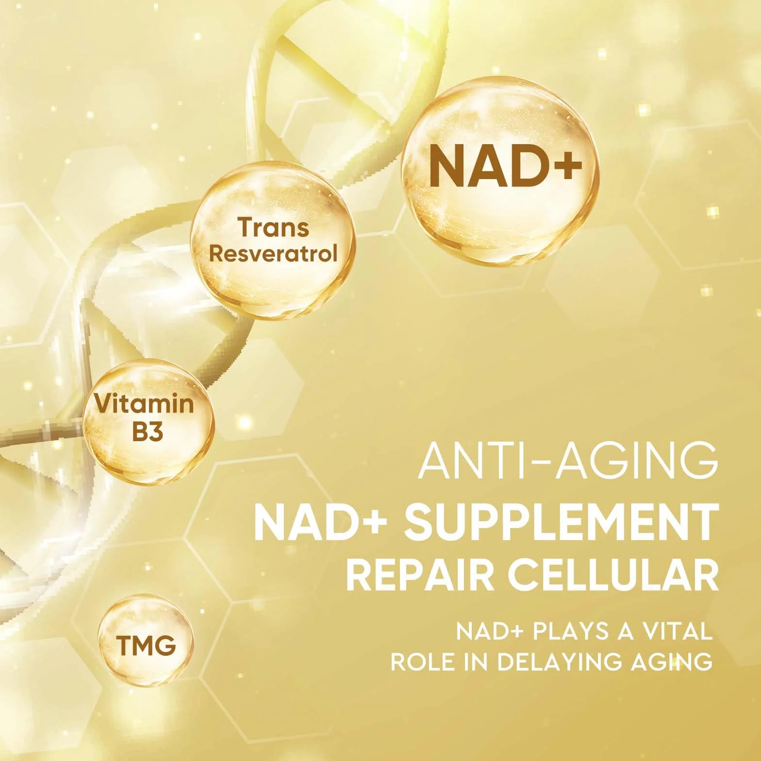 NAD+ 1500 mg & Resveratrolo 120 Capsule Anti-Età Anti-Invecchiamento Vegetariane