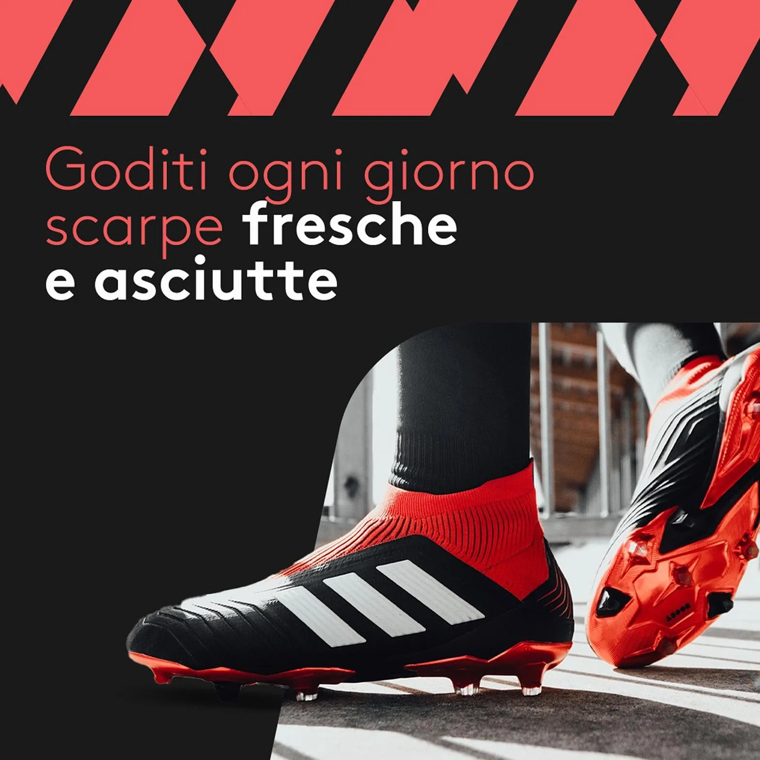SHOEDRY OZONE Asciugascarpe Deodorante Scarpe Tecnologia Ozono Elimina batteri funghi