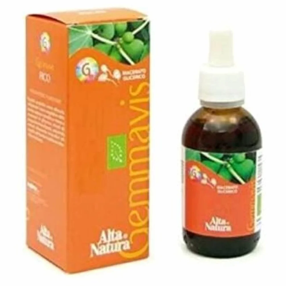 RIBES NERO GEMMAVIS BIO 50 ML