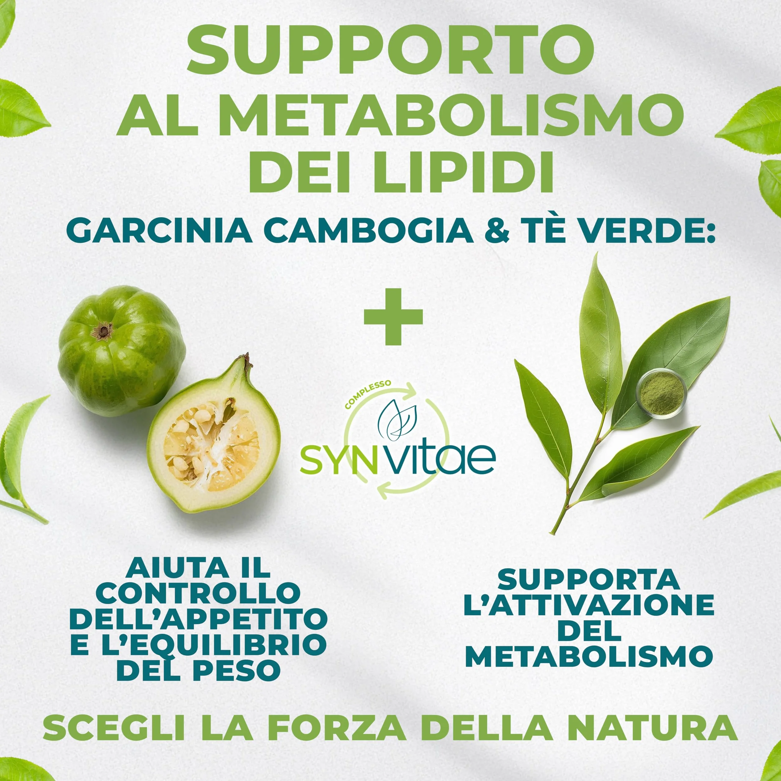 IN VITAE In Linea Integratore Senso di Sazietà e Metabolismo Garcinia Cambogia Tè Verde Glucomannano 60 Capsule Made in Italy