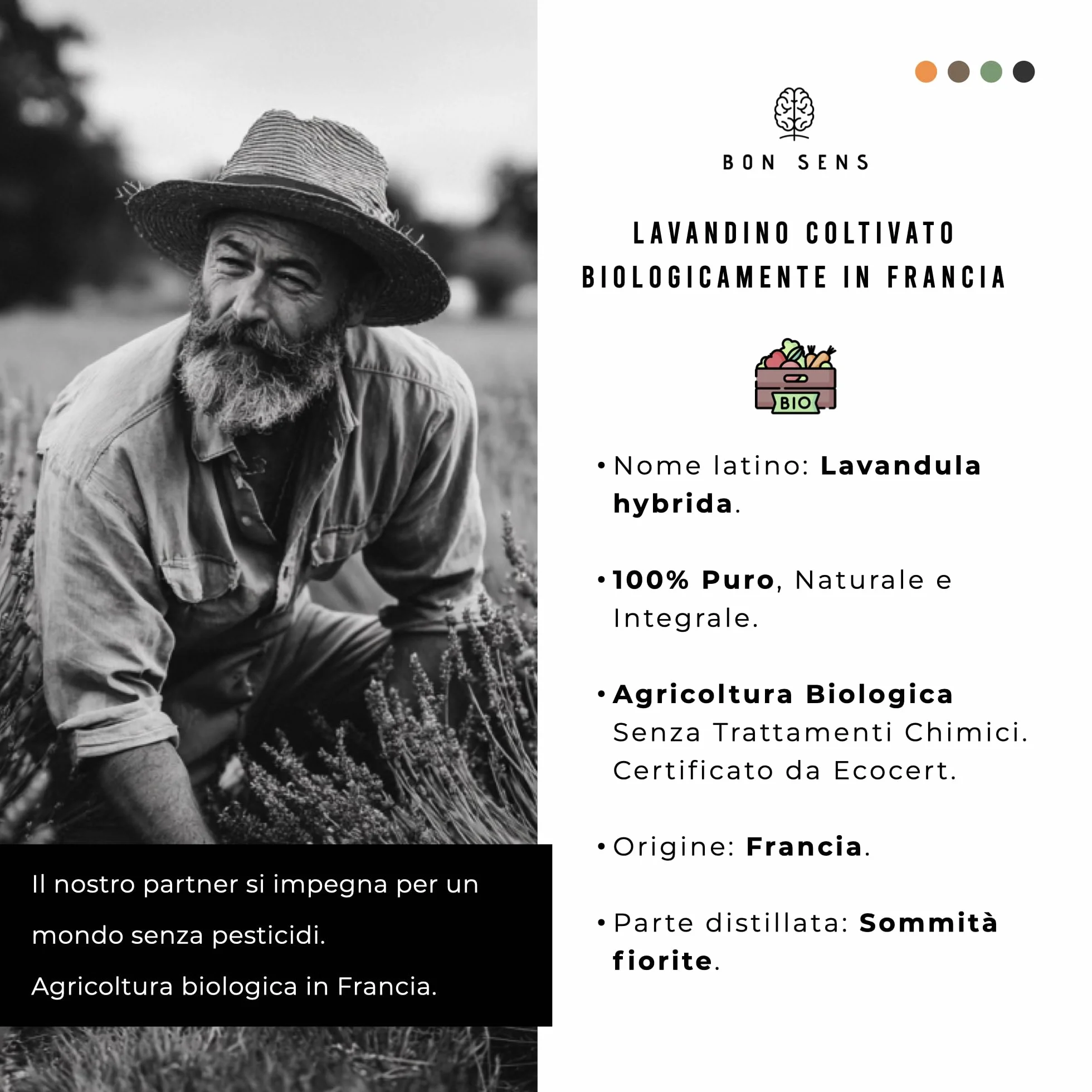 Olio Essenziale di Lavandino BIO 50ml - 100% Puro, Naturale, Biologico - Profumo di Lavanda per Diffusore, Aromaterapia