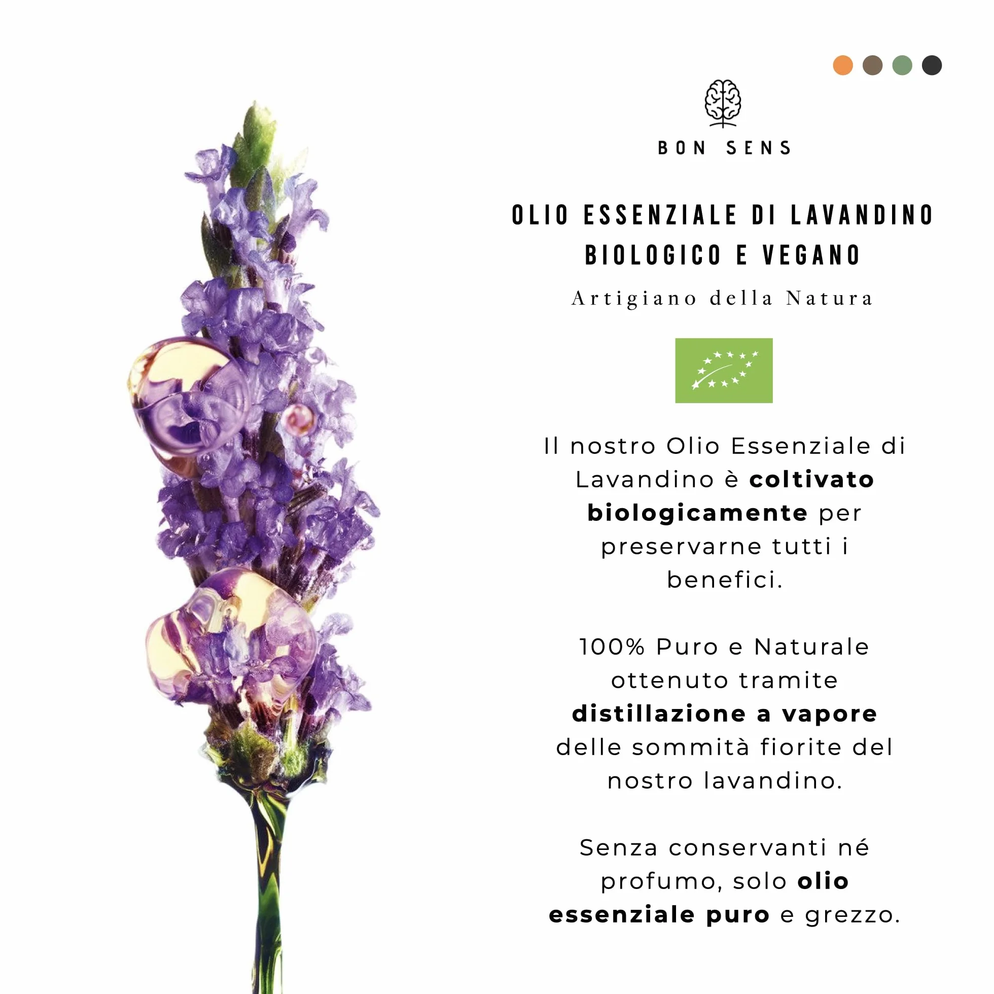 Olio Essenziale di Lavandino BIO 50ml - 100% Puro, Naturale, Biologico - Profumo di Lavanda per Diffusore, Aromaterapia