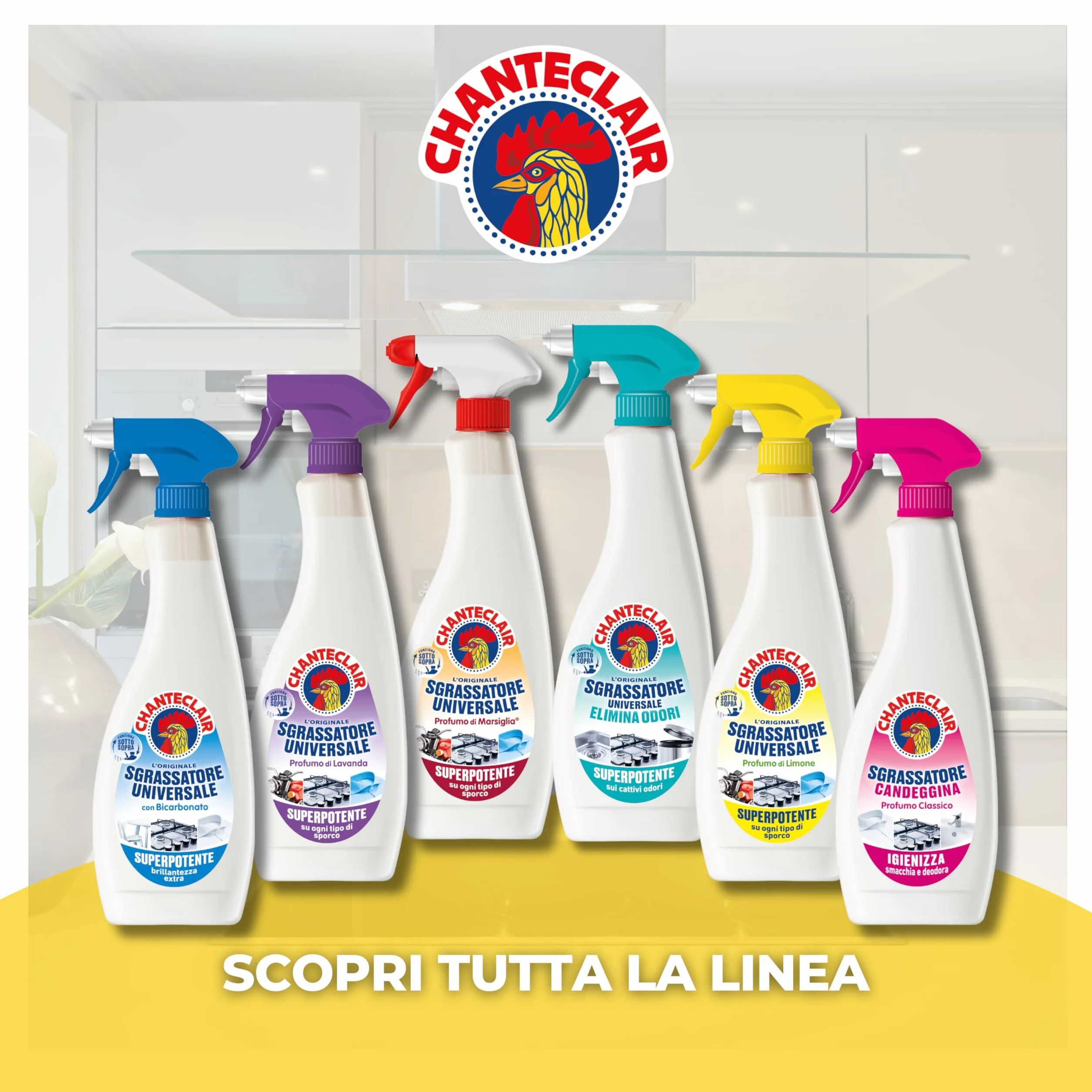 Chanteclair Sgrassatore Universale Spray 12x750 ml
