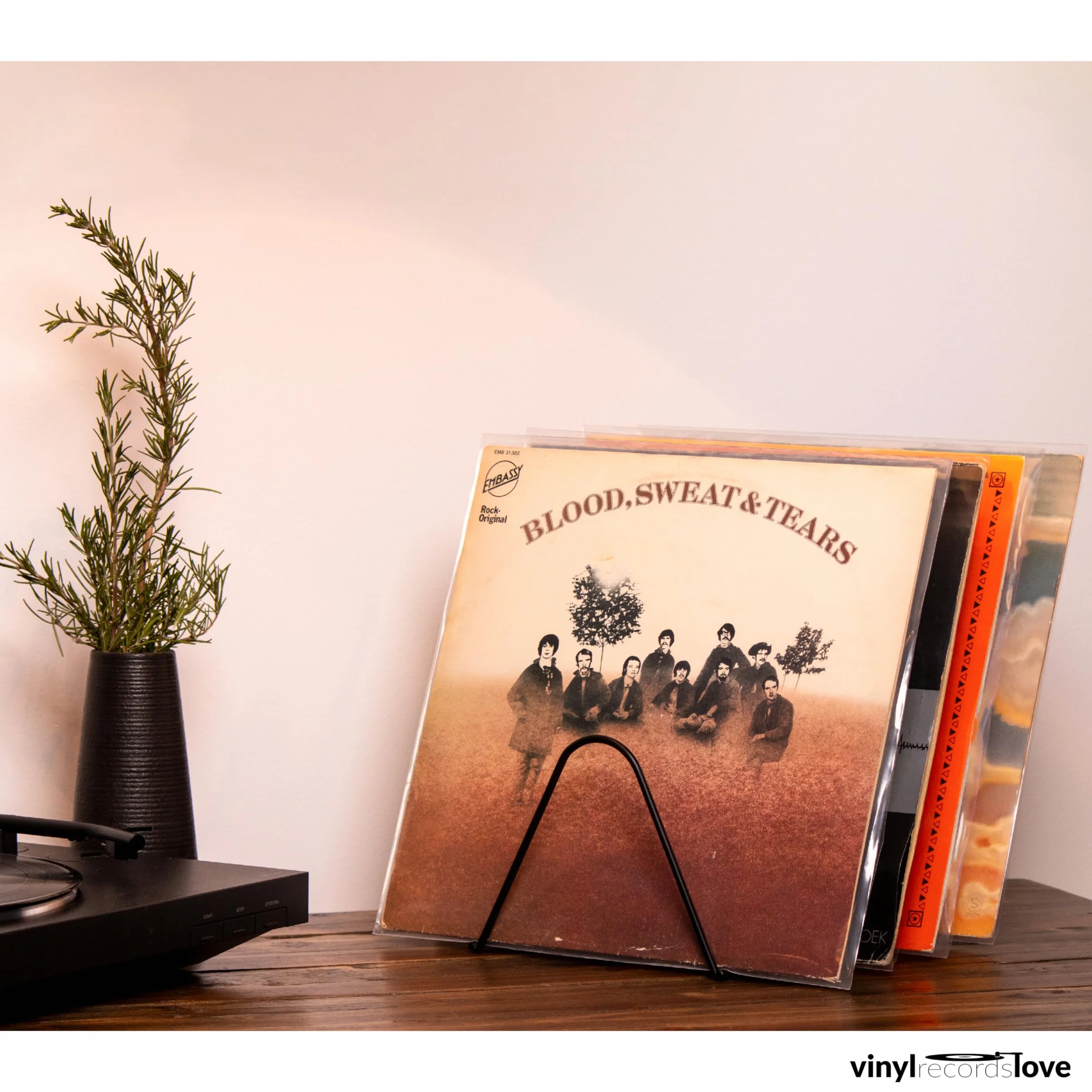 Buste Vinili 33 Giri | 50 Pezzi Molto Trasparenti e Robuste in Polietilene | Protezione Ottimale | Antistatiche | Vinyl Sleeves