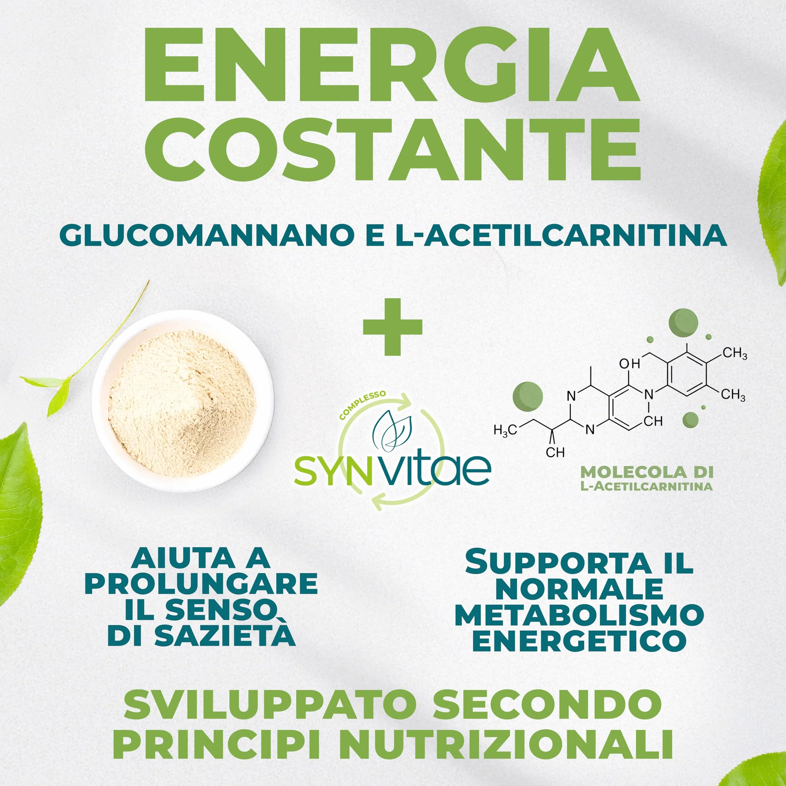 IN VITAE In Linea Integratore Senso di Sazietà e Metabolismo Garcinia Cambogia Tè Verde Glucomannano 60 Capsule Made in Italy