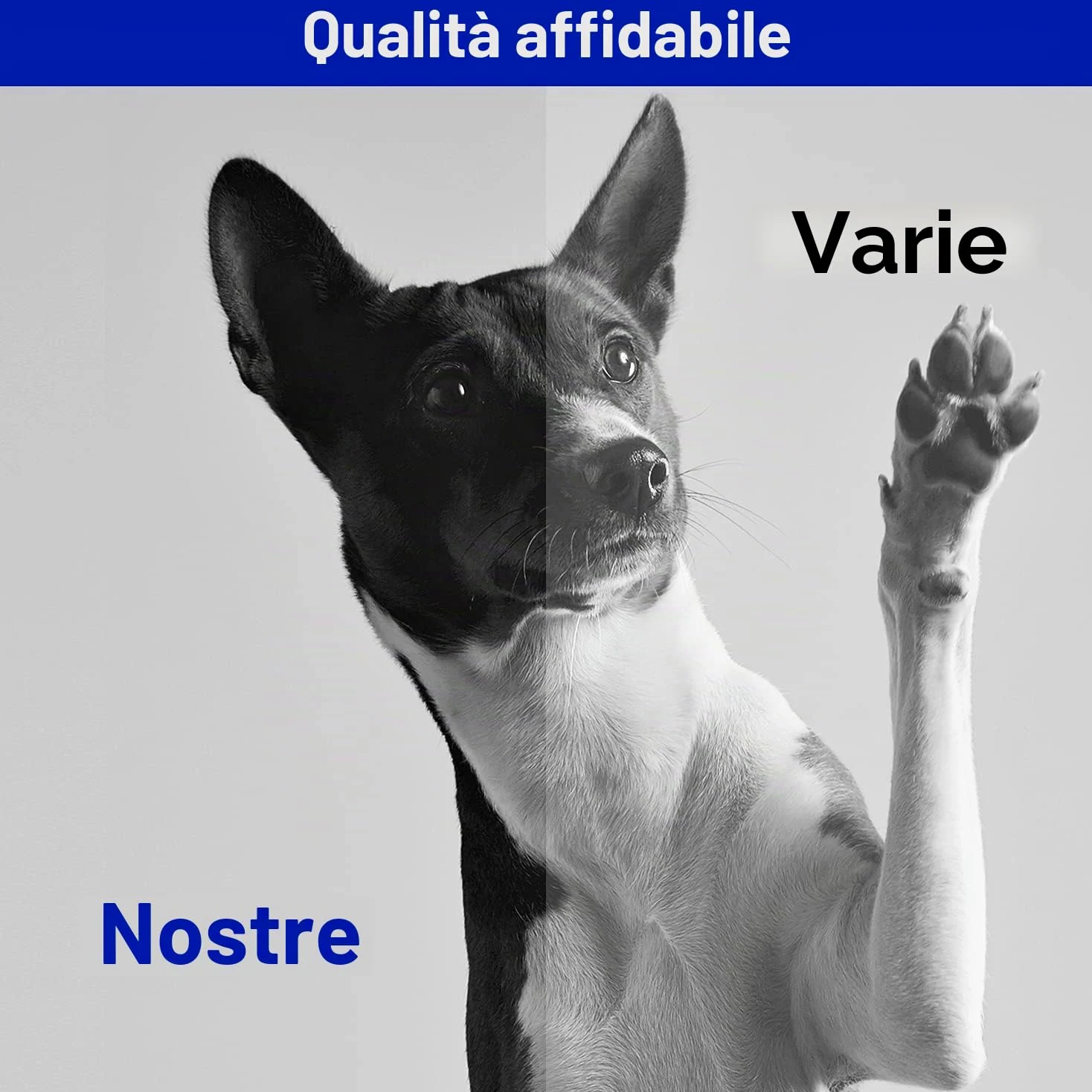 Koala Compatibili Cartuccia Toner Sostituzione per HP 44A CF244A Multipack per HP LaserJet Pro MFP M28a M28w M28 M15a M15w M15 Stampante (Nero, Pacco din 2)