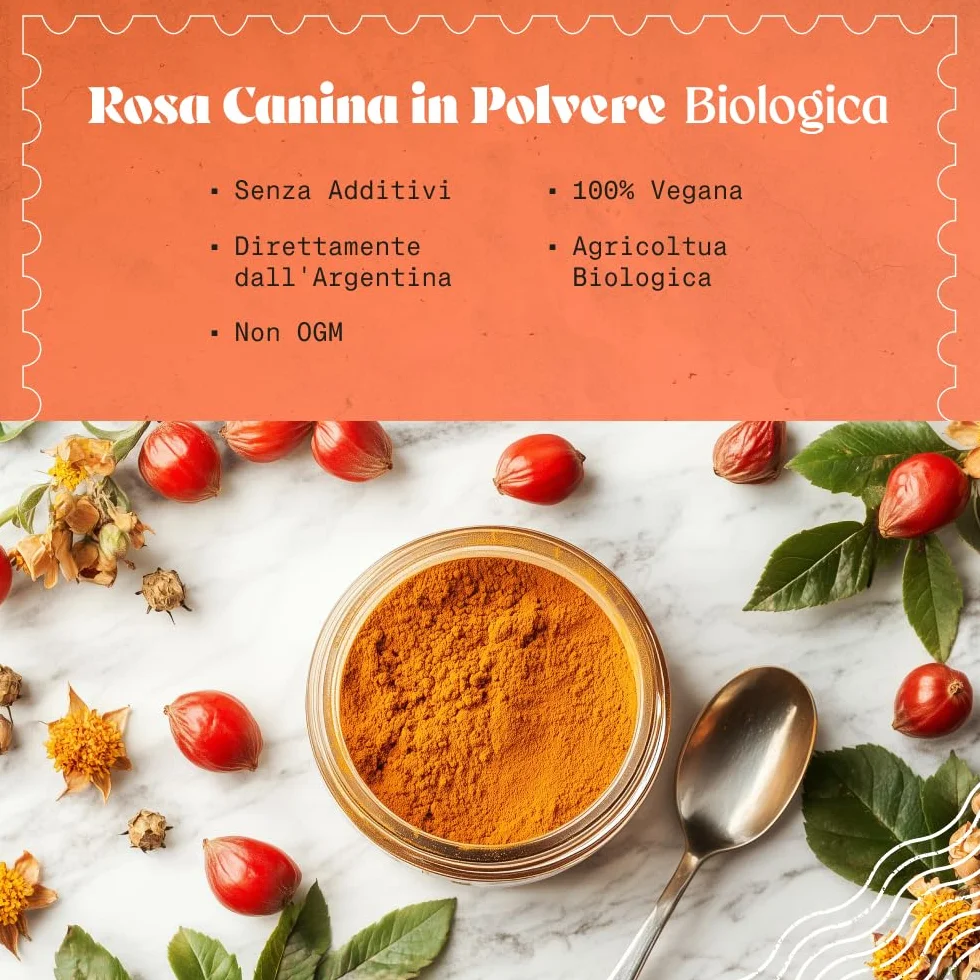 Rosa Canina Cruda Biologica in Polvere 200g Naturale Pura Bacche Bio Cinorrodo Macinato Intero Ricca Vitamina C Infusi Tisane Frullati