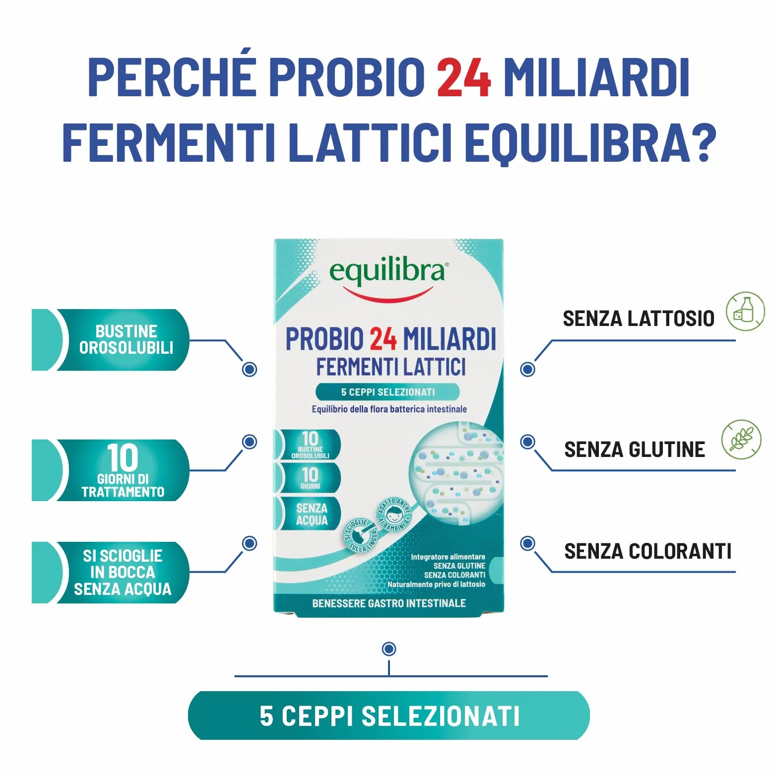 Equilibra Probio 24 Miliardi Integratore Fermenti Lattici Flora Intestinale 10 Bustine Orosolubili