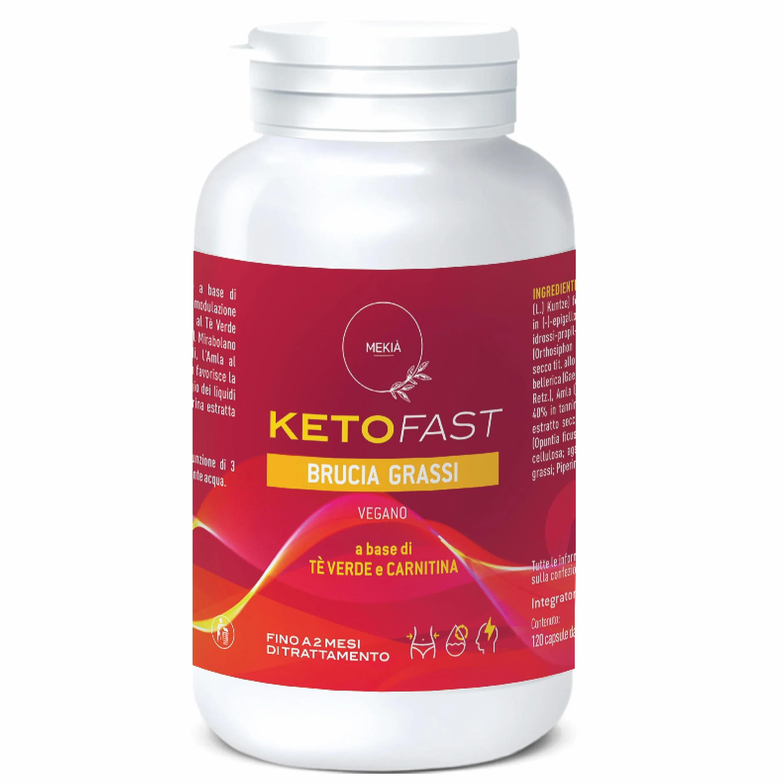 Integratore Alimentare Carnitina Garcinia Cambogia Tè Verde Piperina – 120 Capsule Alta Concentrazione per Metabolismo e Controllo Peso