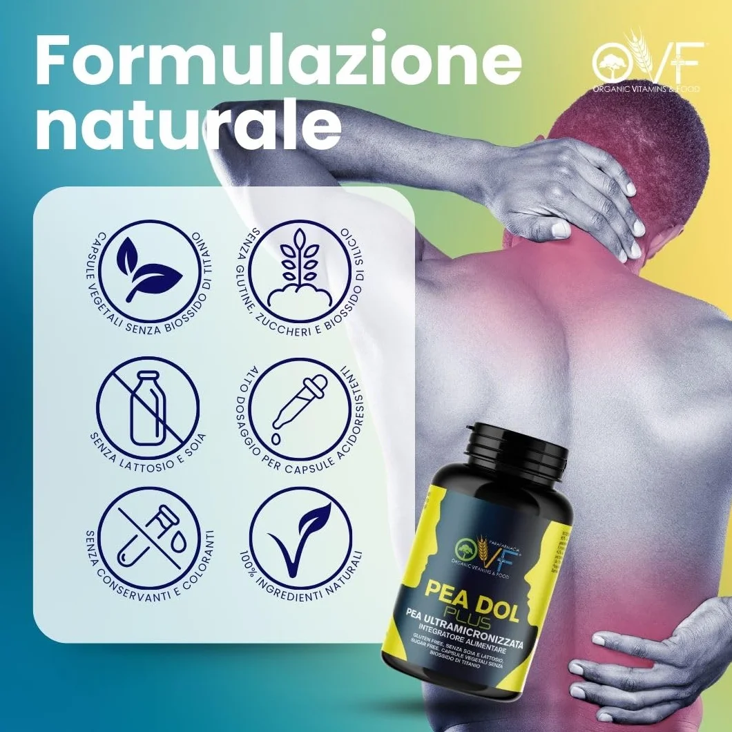 OVF PEA Integratore Plus 600mg con Boswellia e Quercetina, 120 capsule, Pea Ultra-Micronizzata