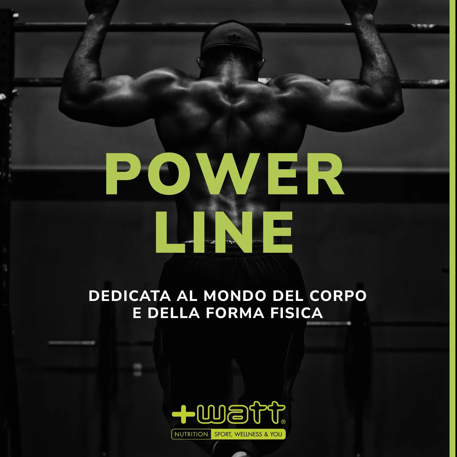 Integratore alimentare termogenico bruciagrassi Sinetrol®XPur aXivite® caffeina L-carnitina berberina