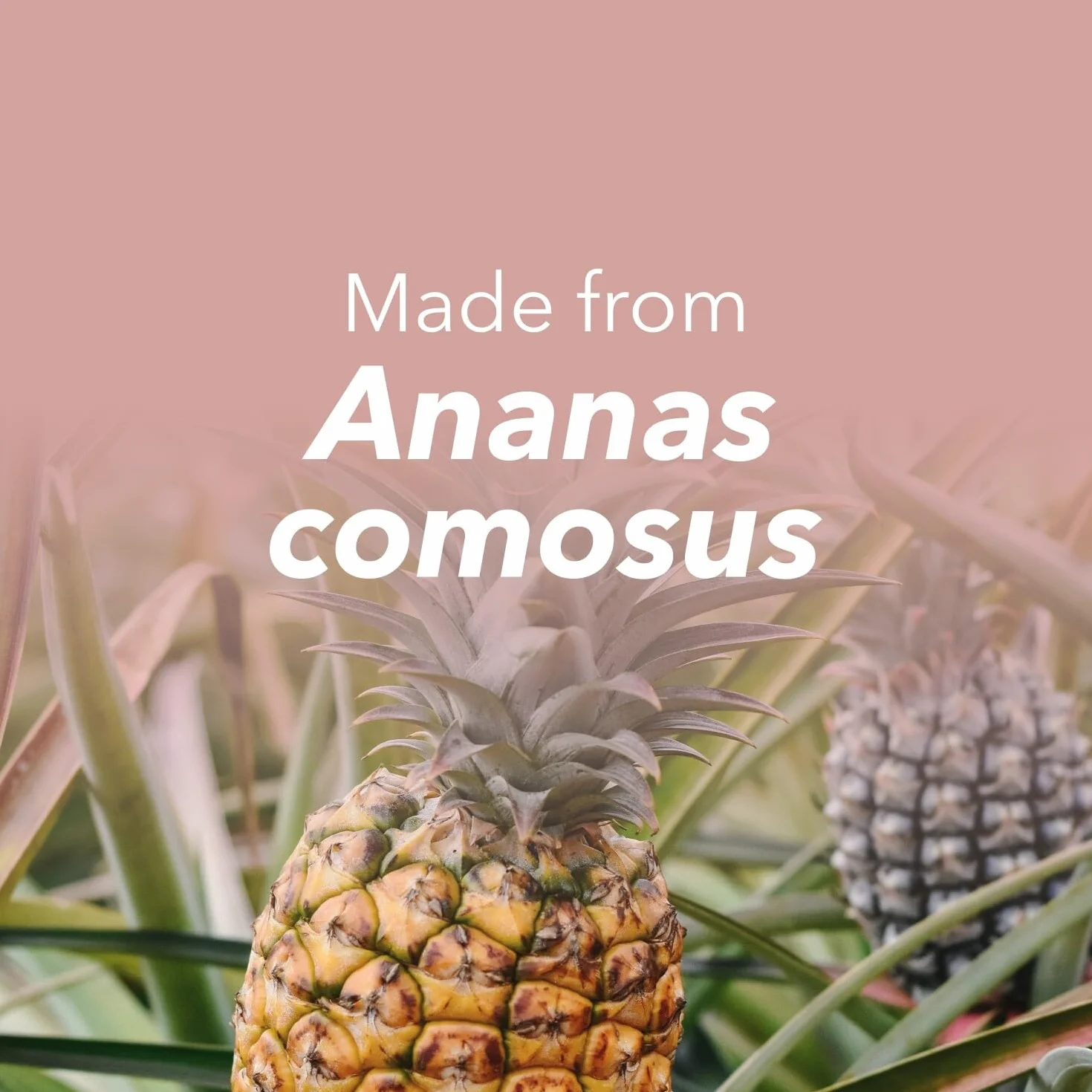 Yamamot Bromelina 60 compresse drenante depurativa estratto Ananas digestiva