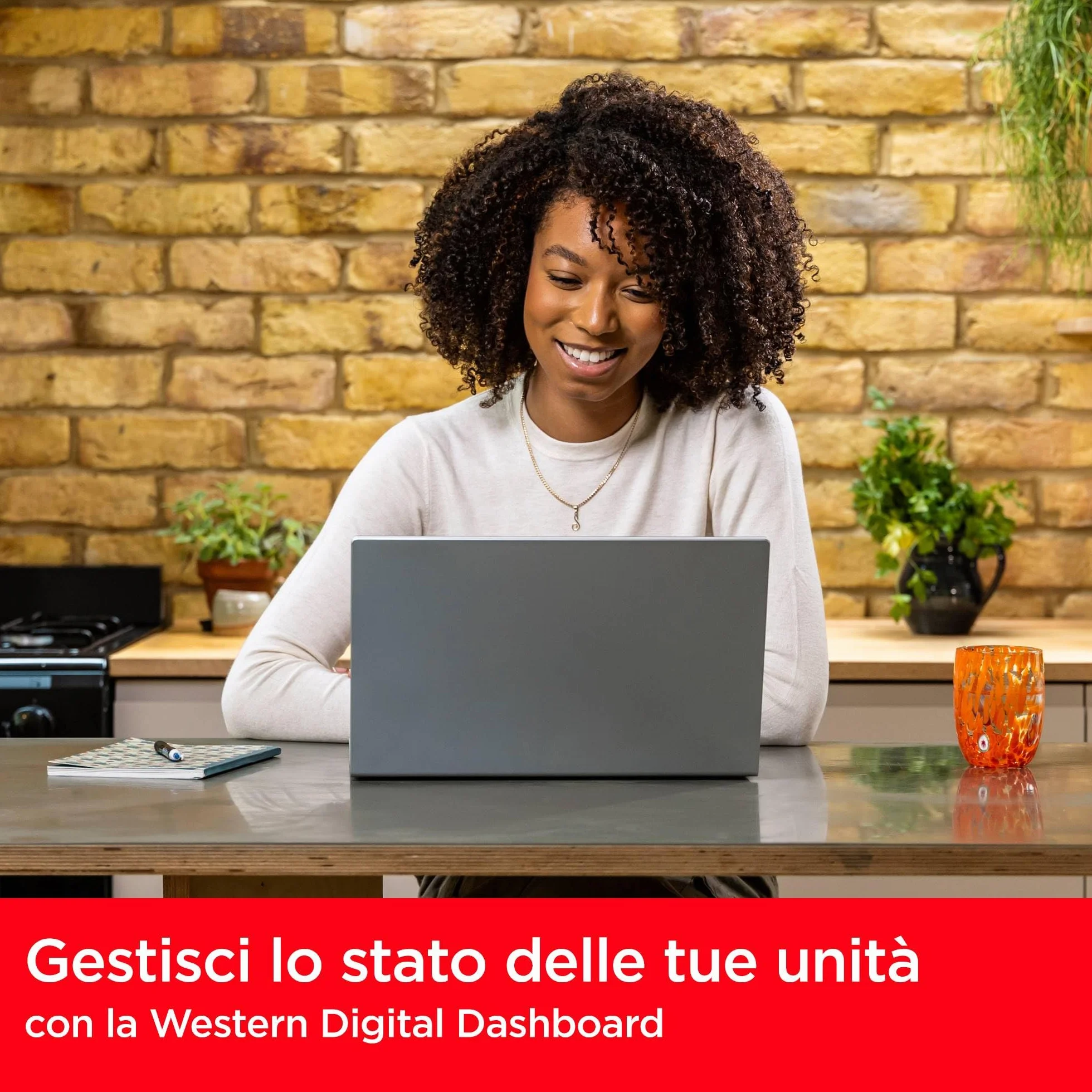 SanDisk SSD Plus 250GB, M.2 2280 PCIe Gen3 NVMe SSD, con velocità di lettura fino a 2400 MB/s