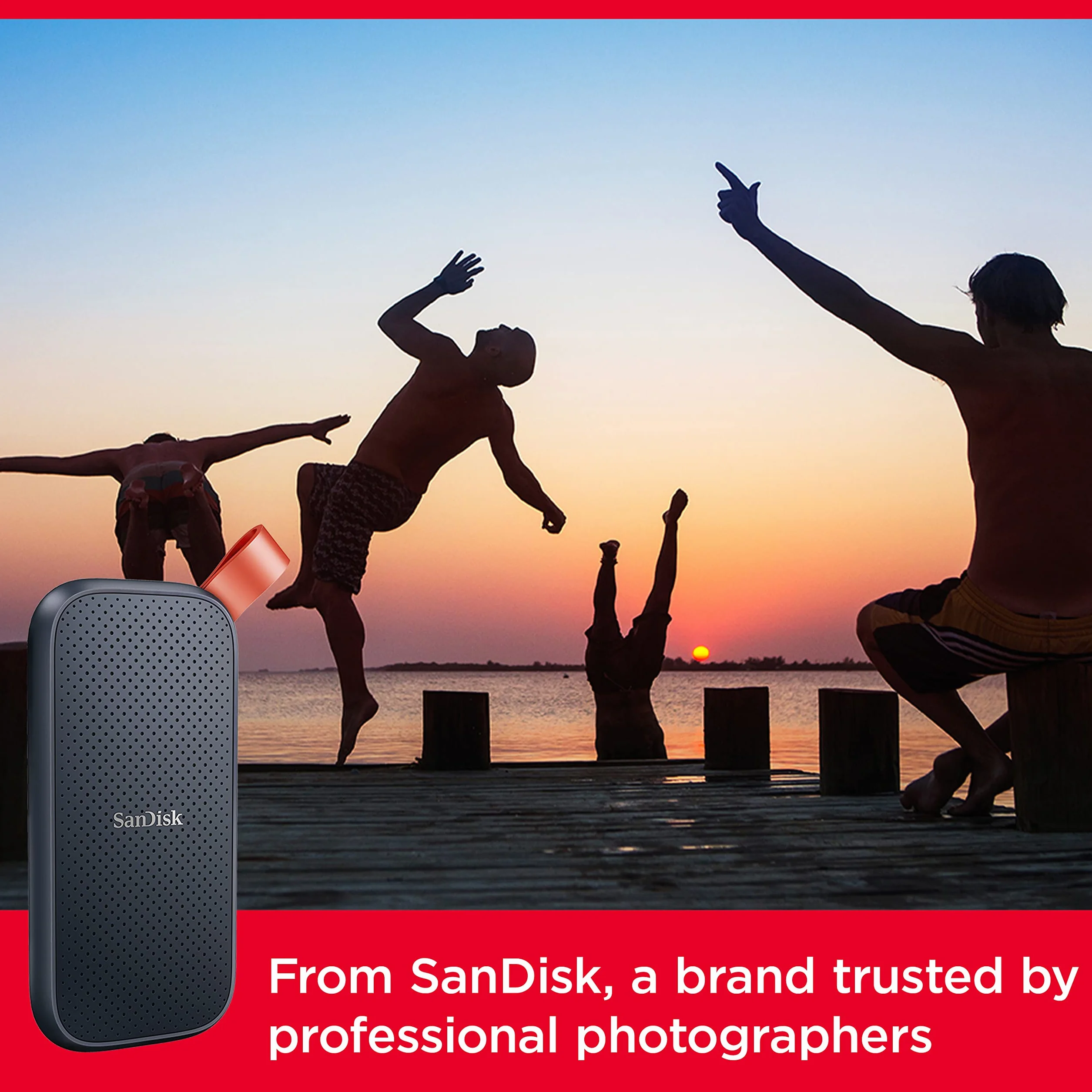 SanDisk Portable SSD Esterno 1TB NVMe 800 MB/s Unità a Stato Solido