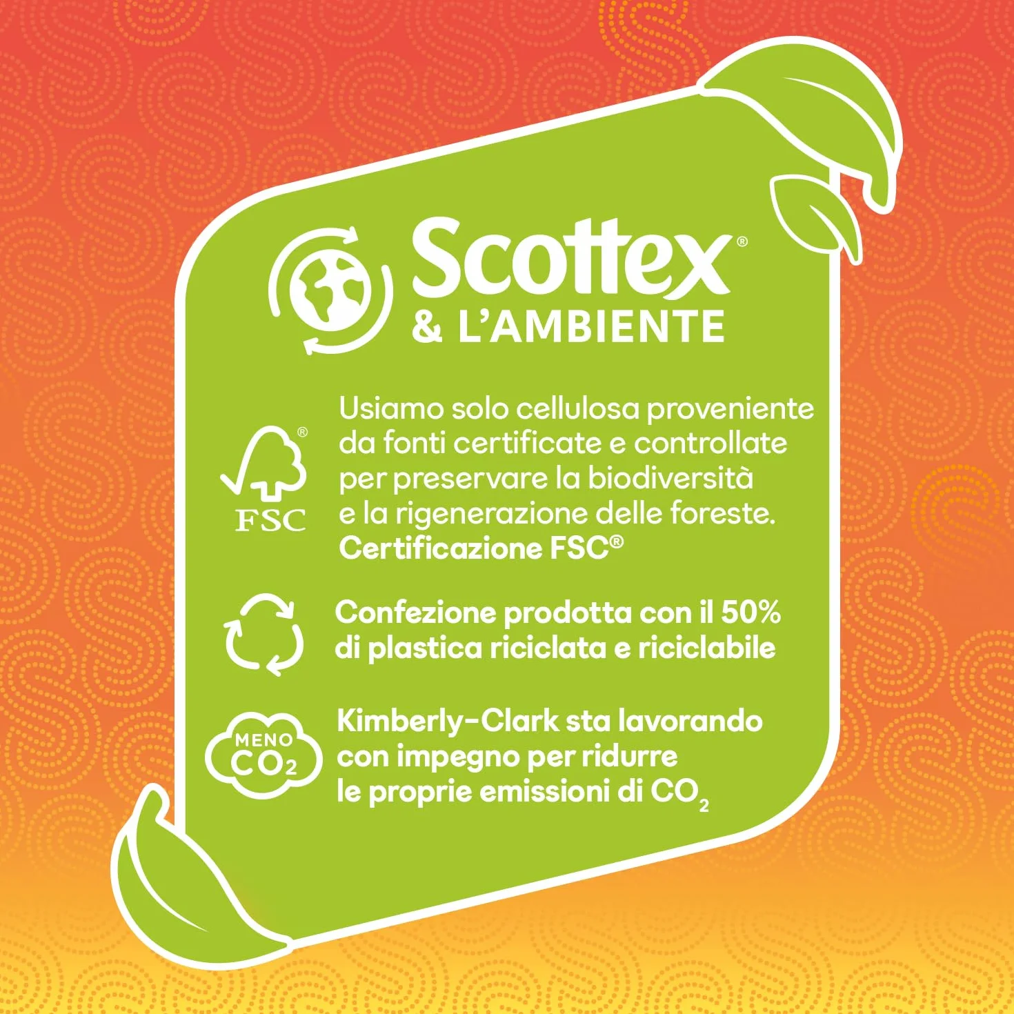 Scottex Quanto Basta Carta Cucina 6 Maxi Rotoli FSC