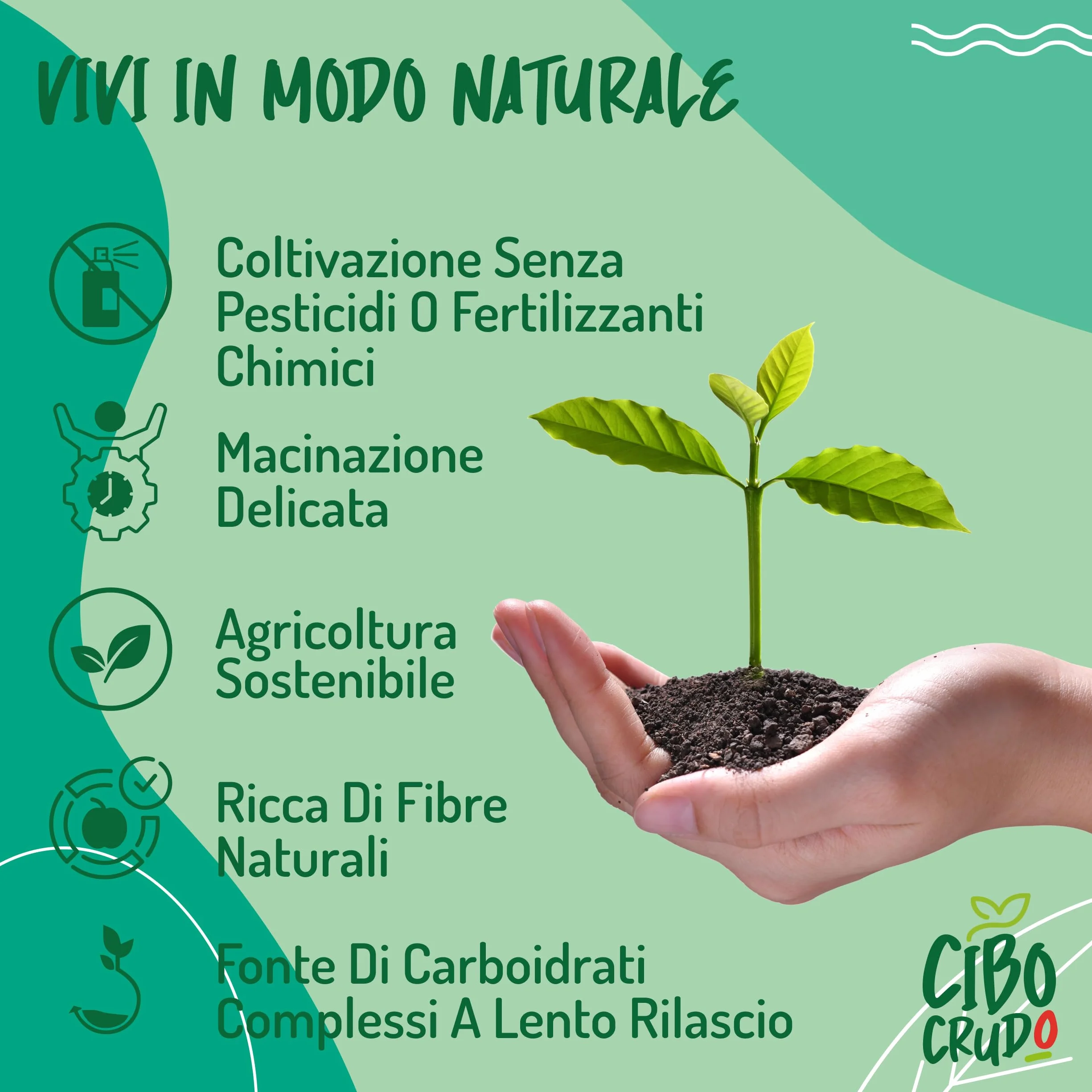 CiboCrudo Fibra di Acacia Bio in Polvere - 500g. Polvere di Acacia o Gomma Arabica con Alto Contenuto di Fibre (85%) Senza Zuccheri. Fibra Alimentare Vegana Ottima per Dieta Chetogenica e Digestione.